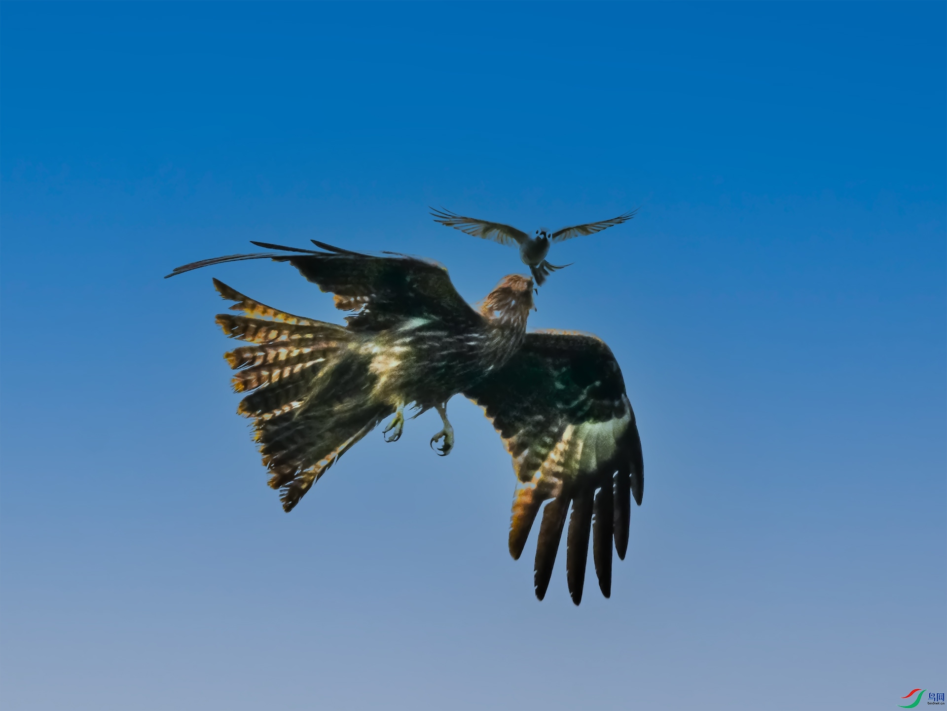 �Ҿ�β�����ڶ��