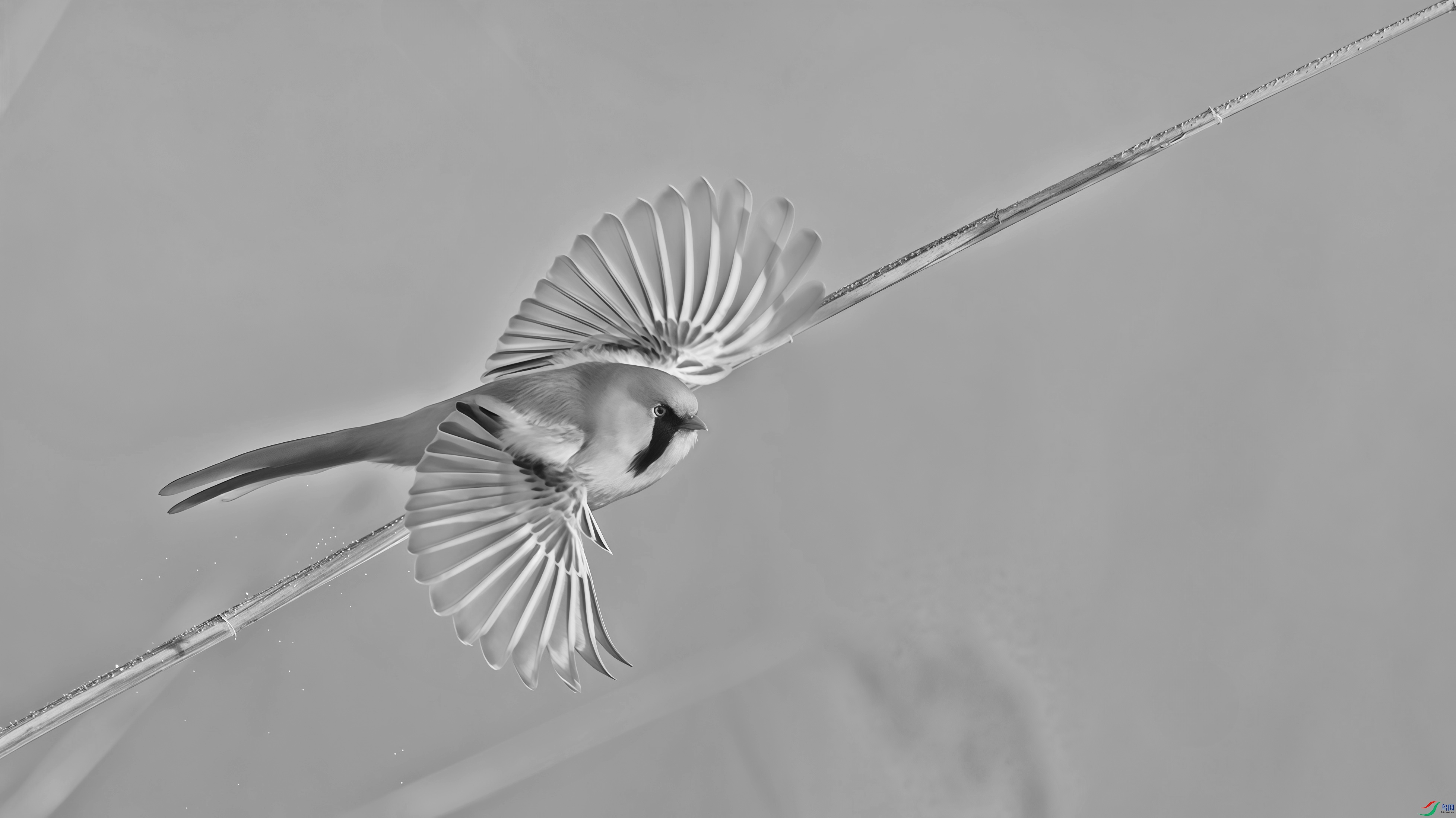 2F6A5796_����_����.jpg