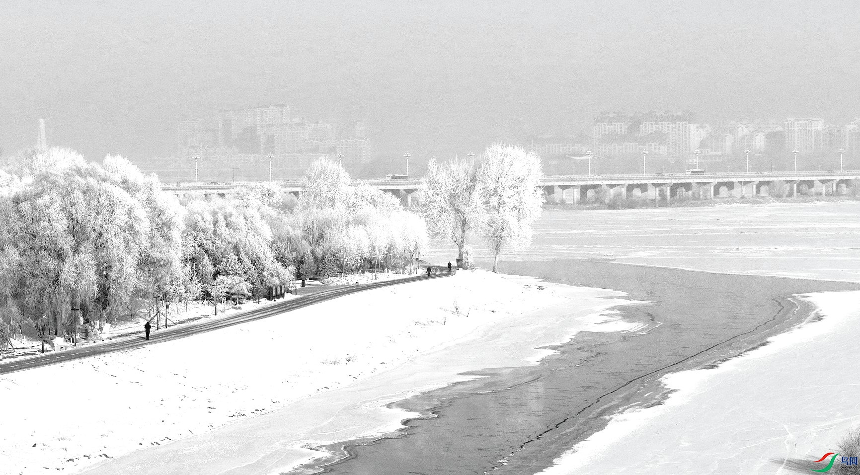DJI_20250111214032_0137_D_����_����.jpg