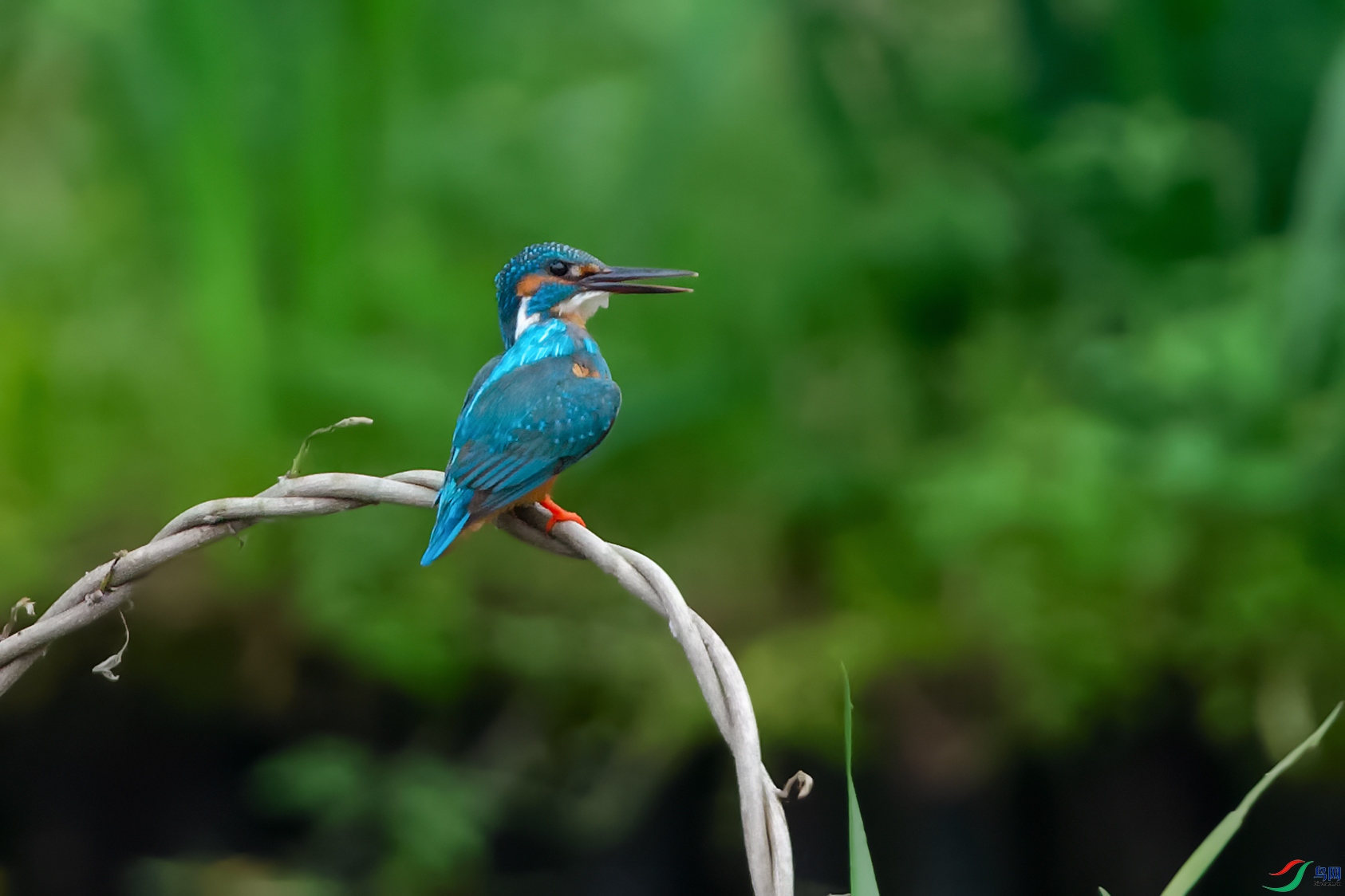 4DSC_1216_DxOa.jpg