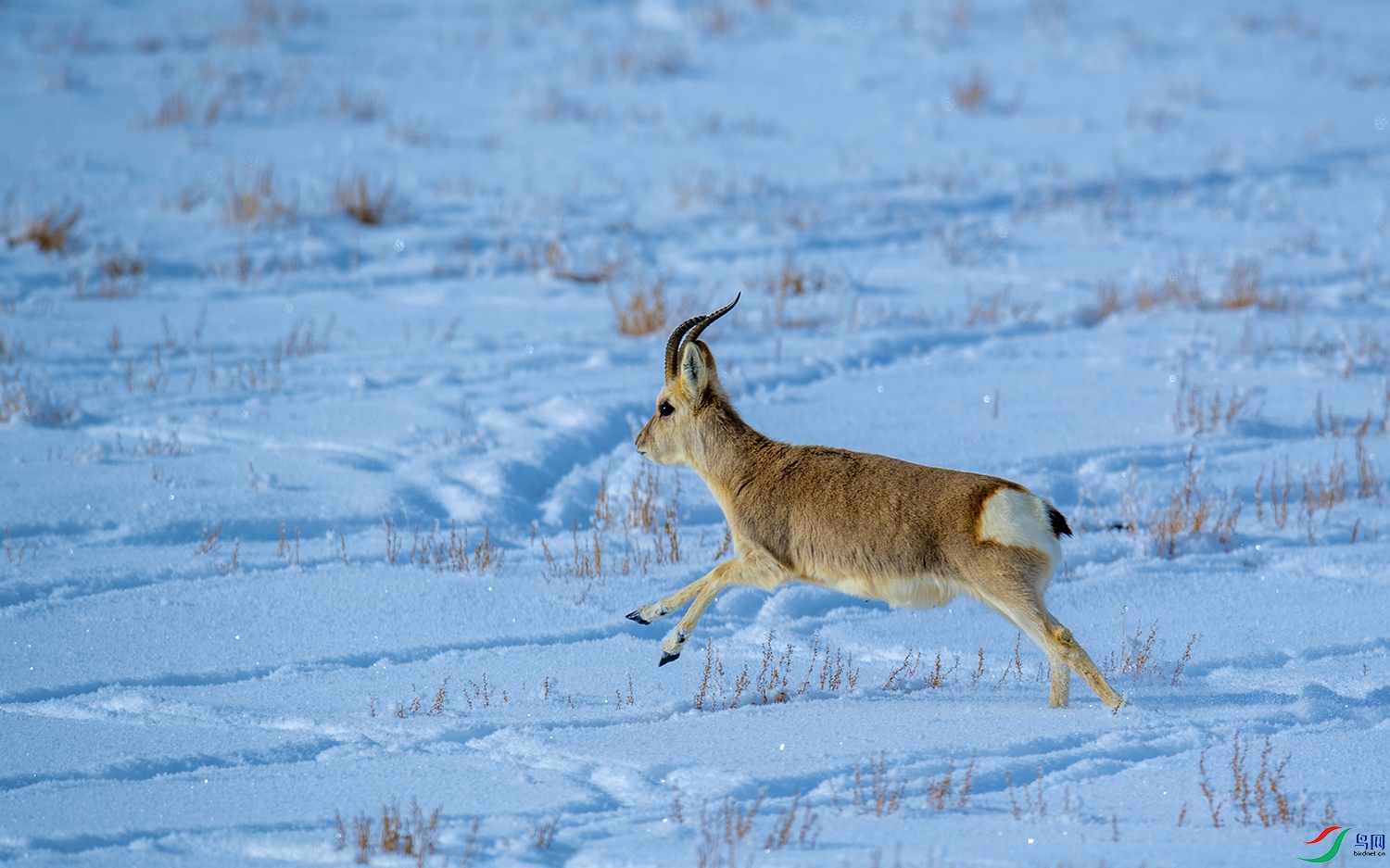 DSC_2923.jpg