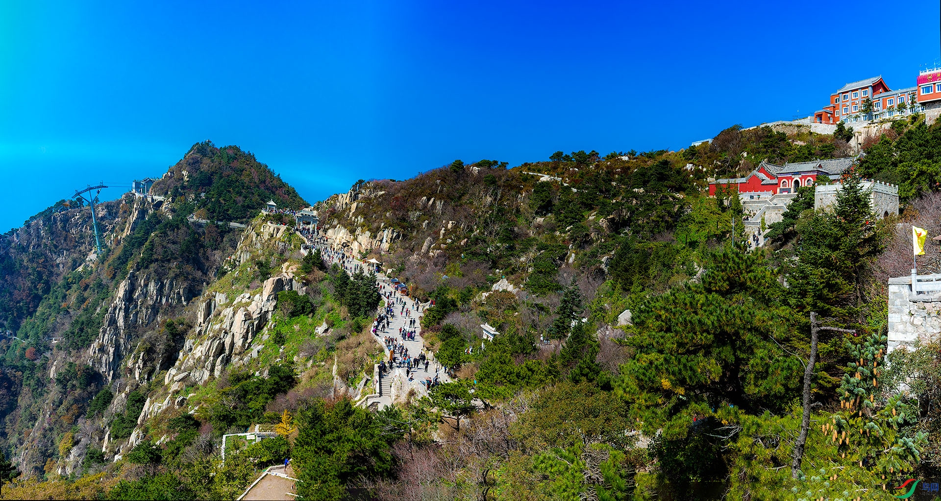_MG_8595a.jpg