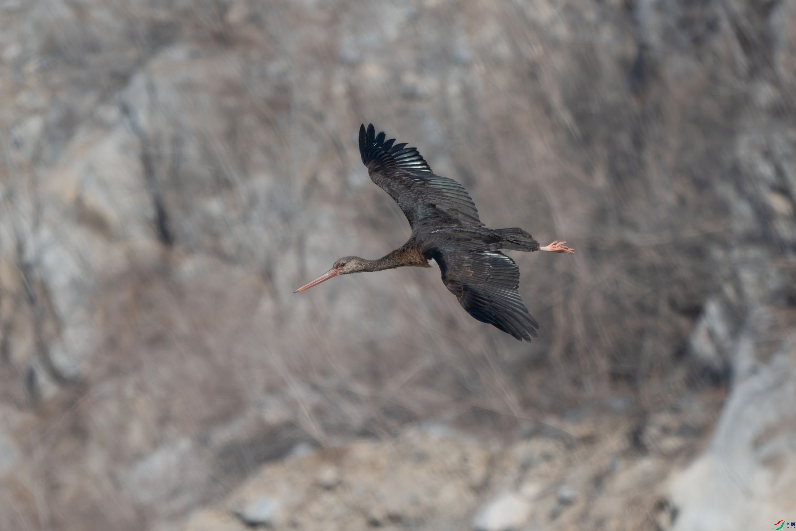 DSC_2064.jpg