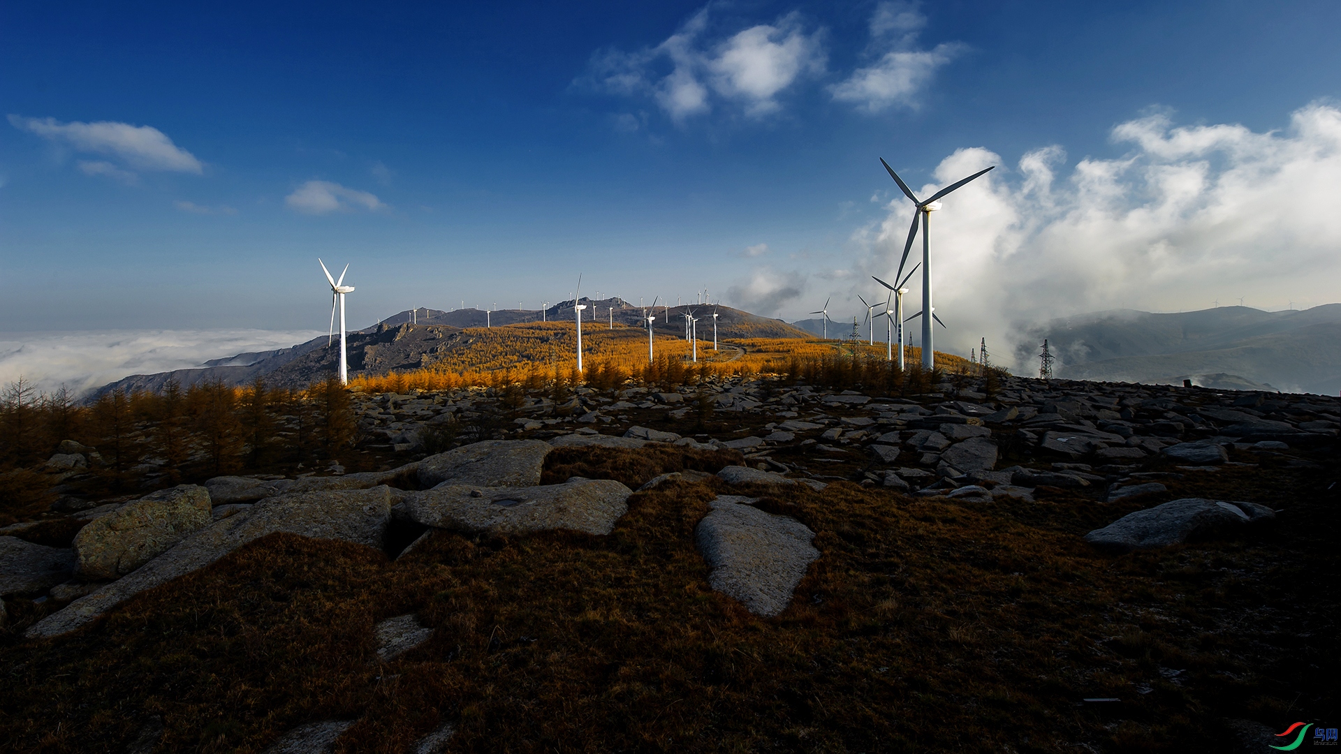 _DSC3301-20220730�� .jpg