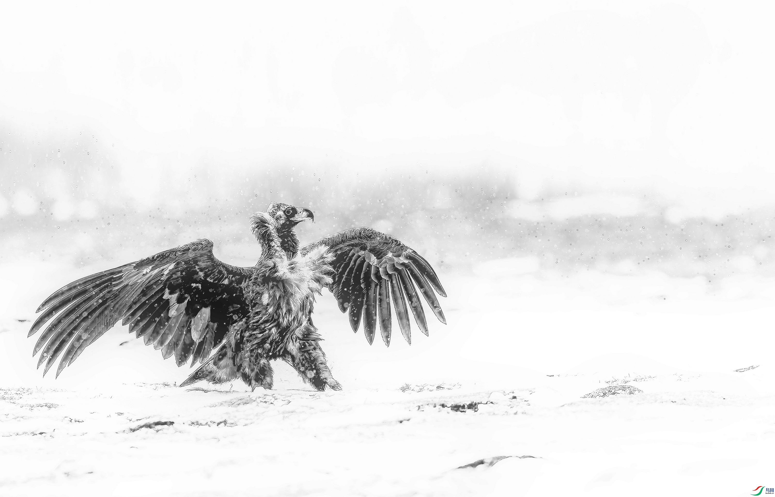 ͺ�� 3 (10)-001-1-1.jpg