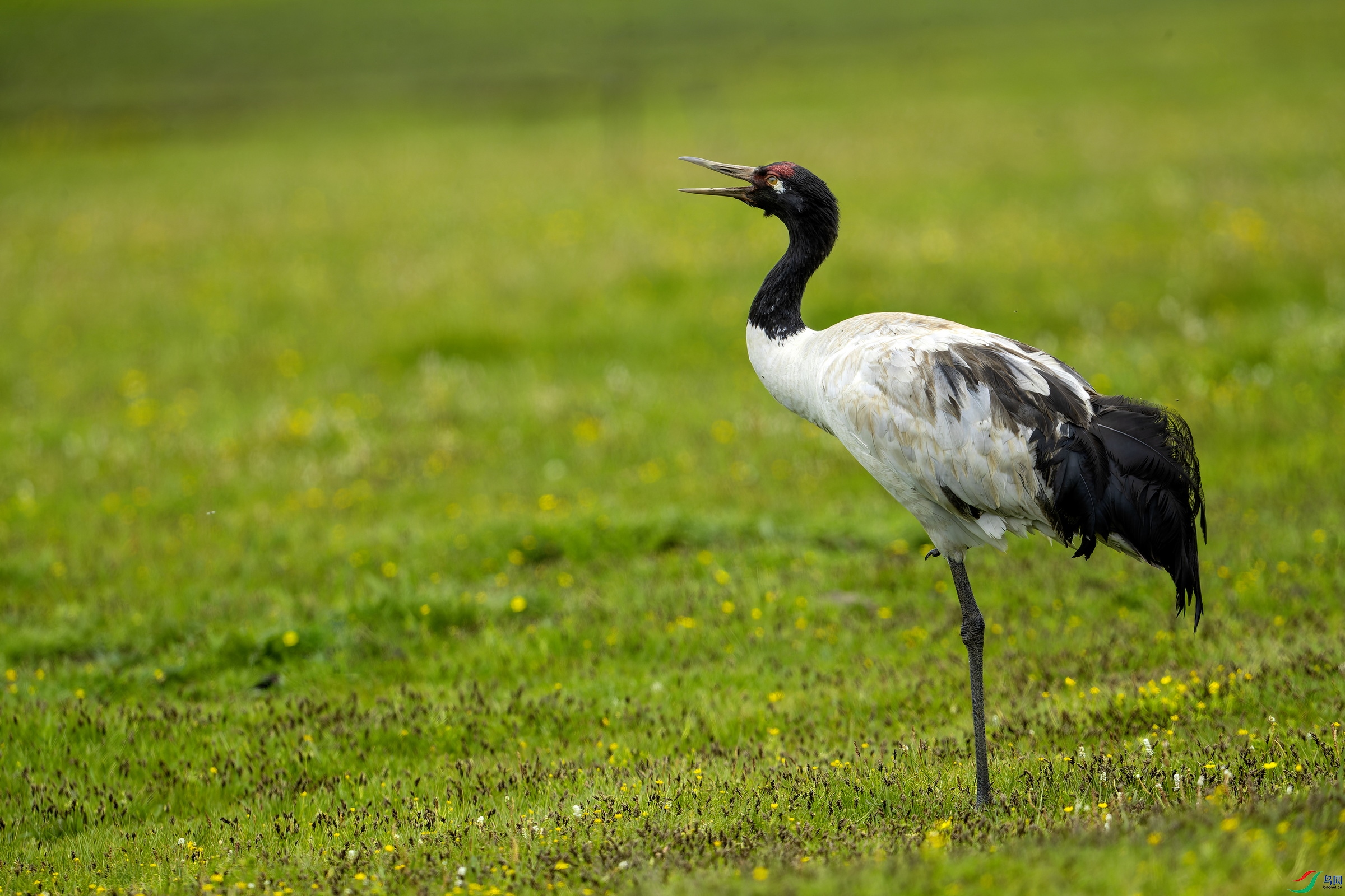 �ھ��� (1572)-1.jpg