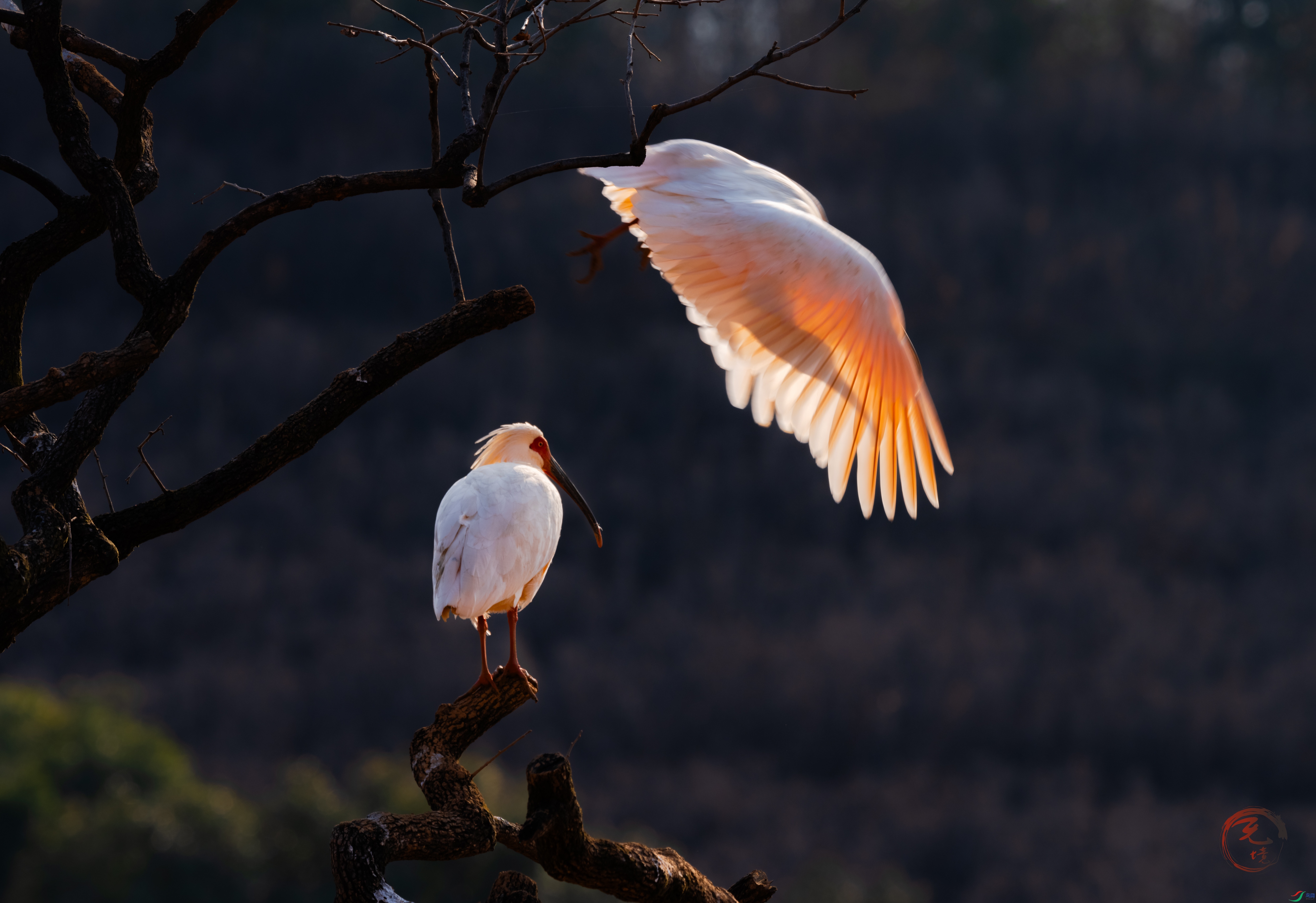 ��������