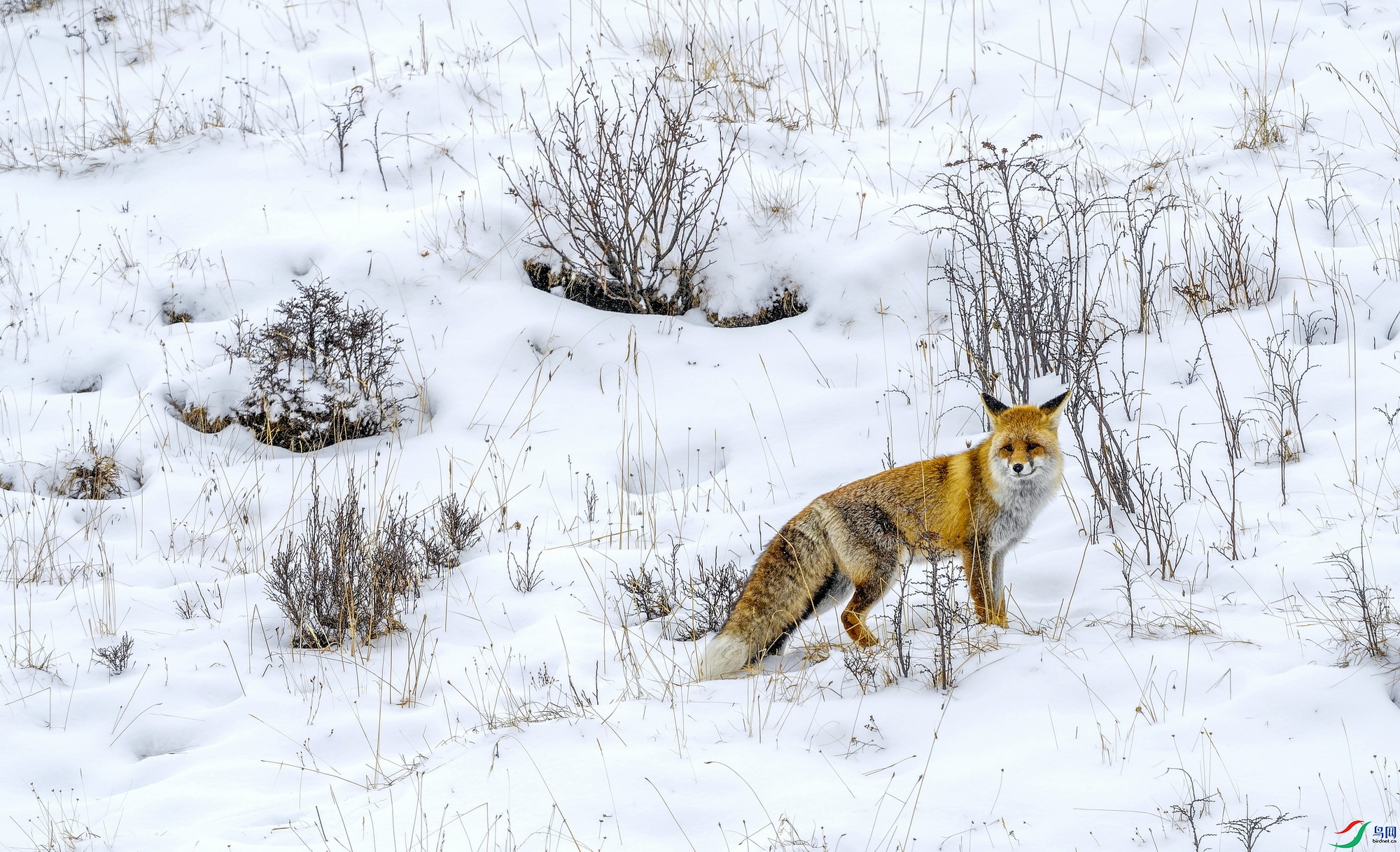 ��� (628)-1-1.jpg