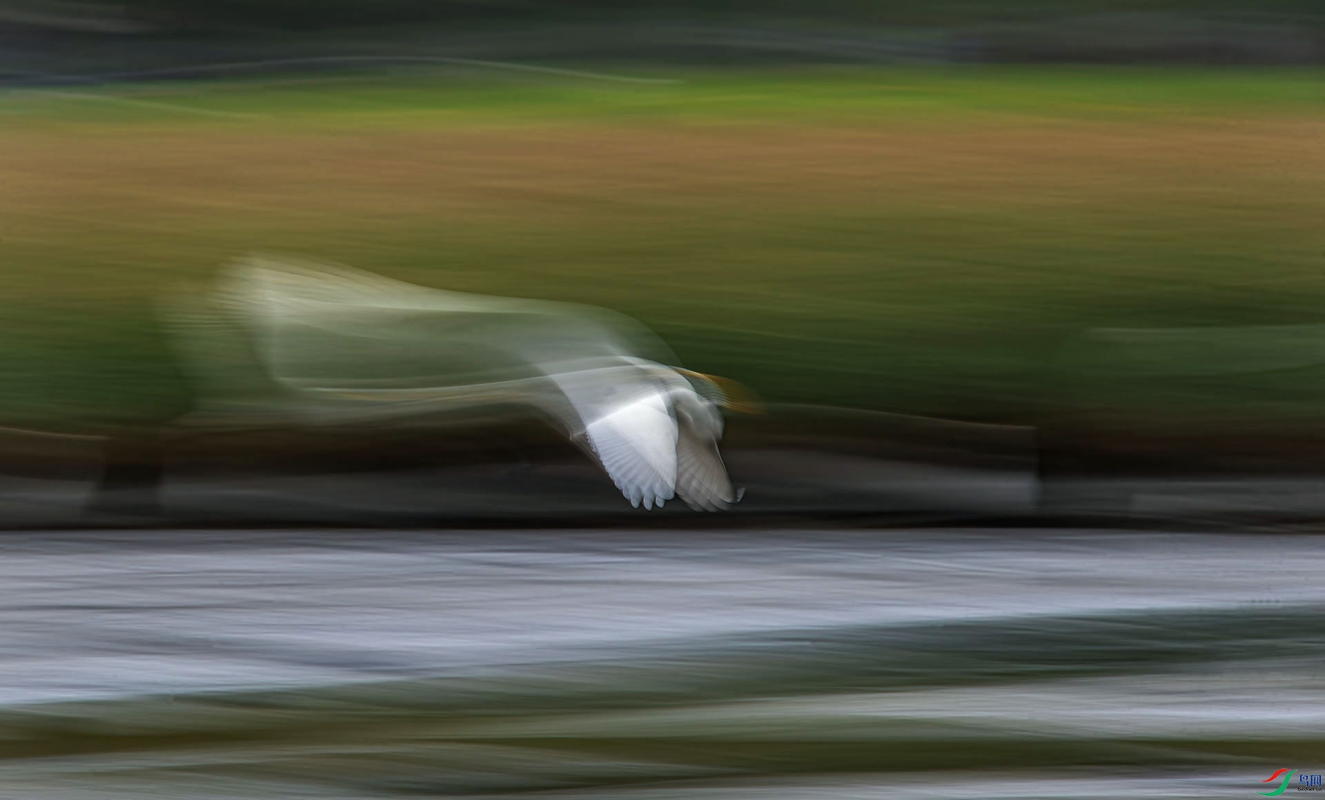 _DSC0535..jpg