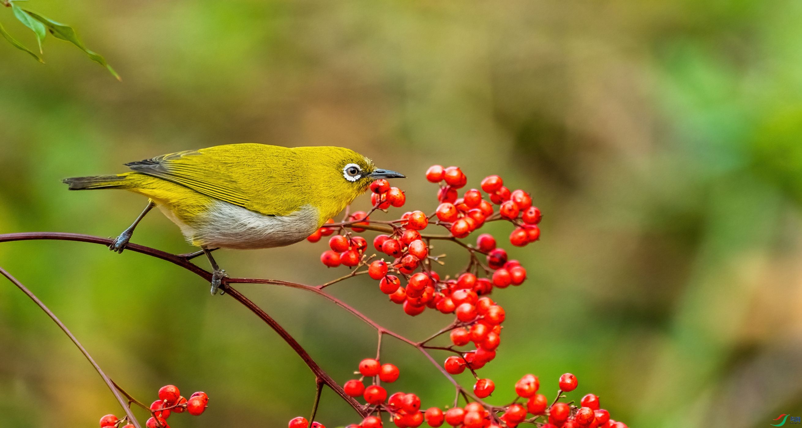 Ư����������