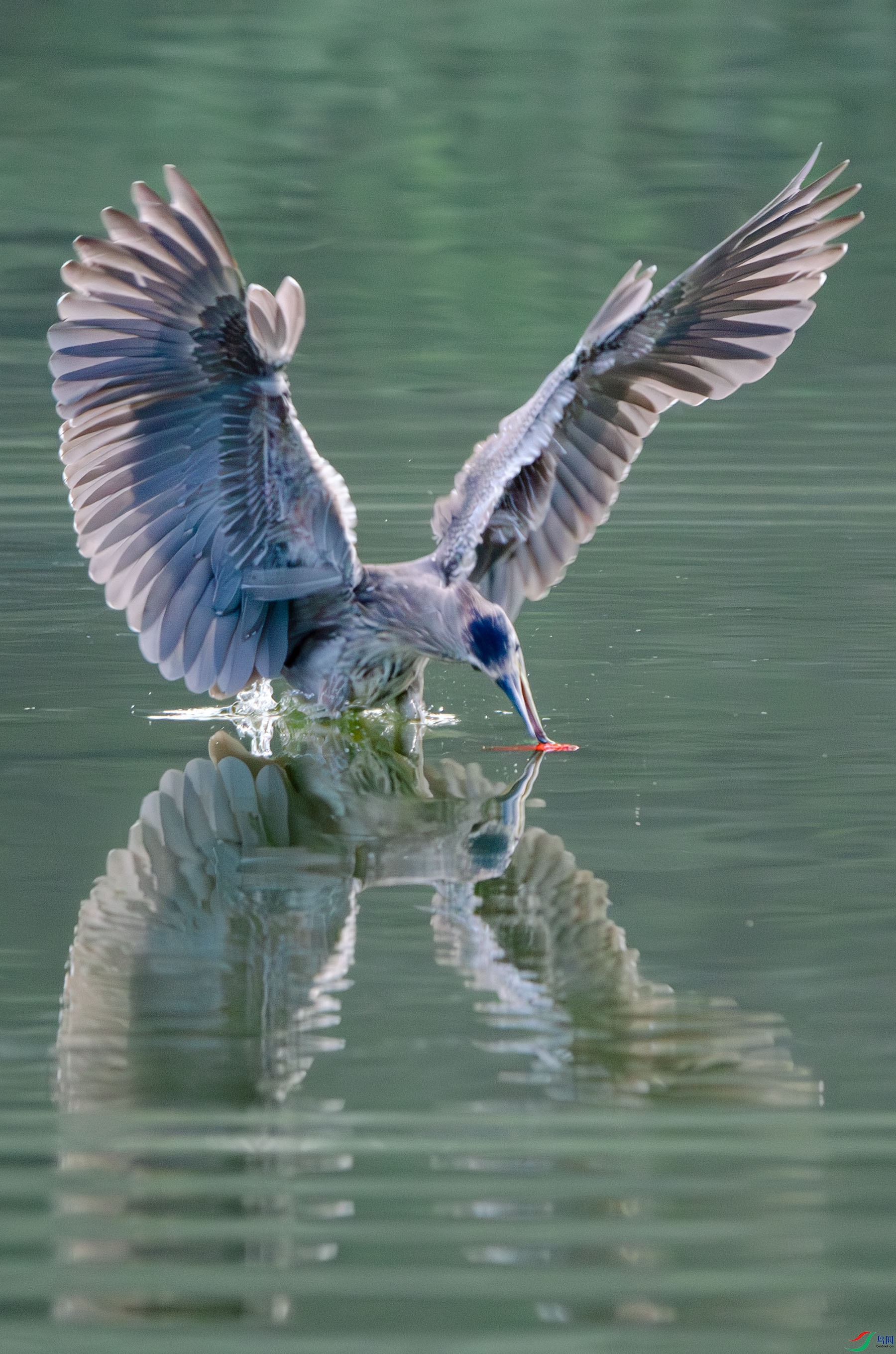 DSC_5061-����ǿ-NR ����.jpg