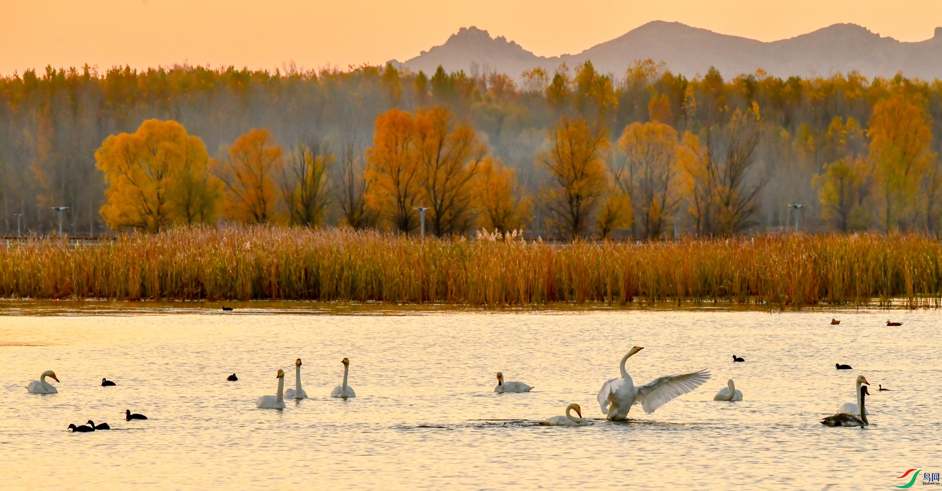 ������ɫ2