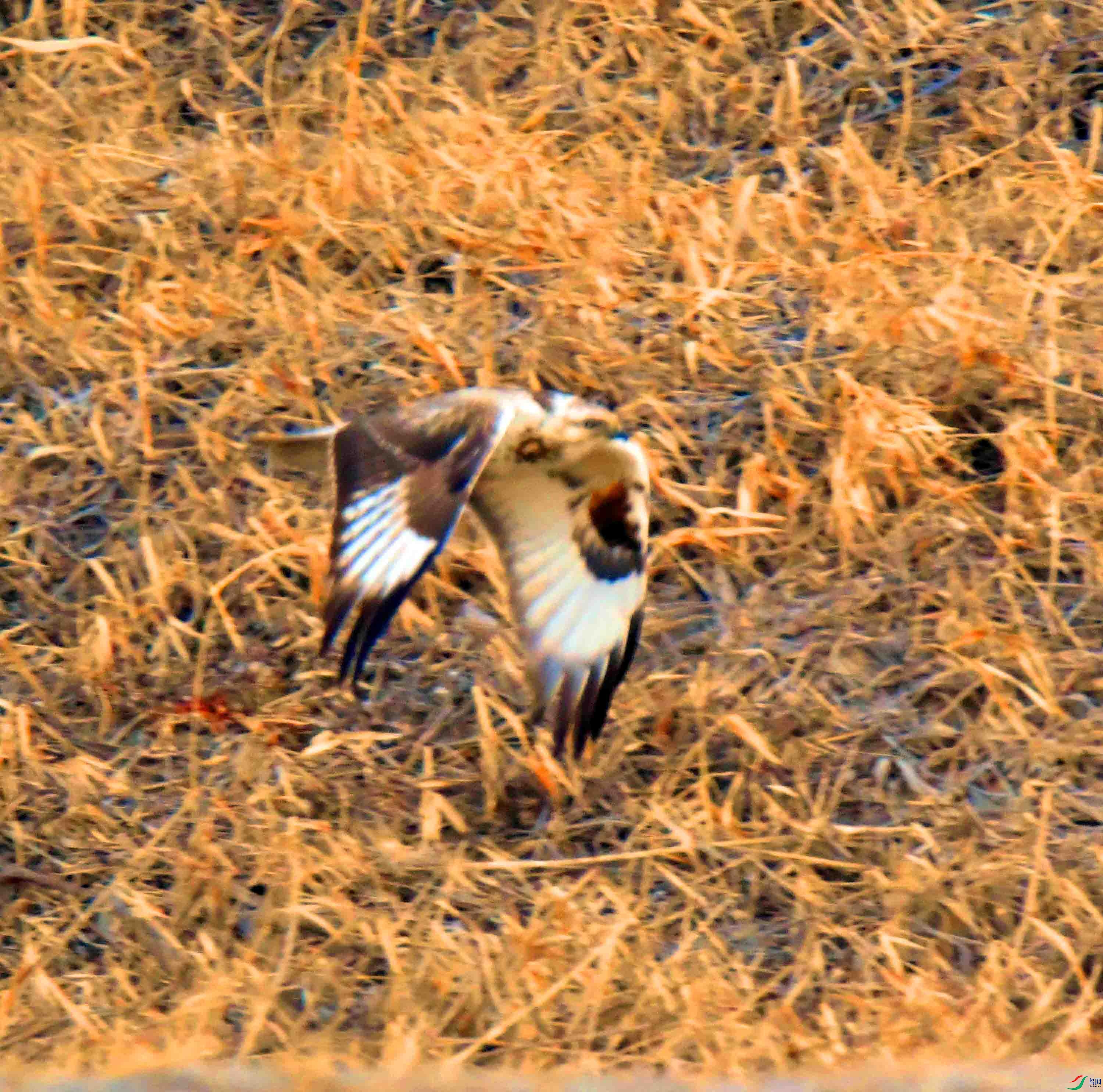 DSC_6169.JPG
