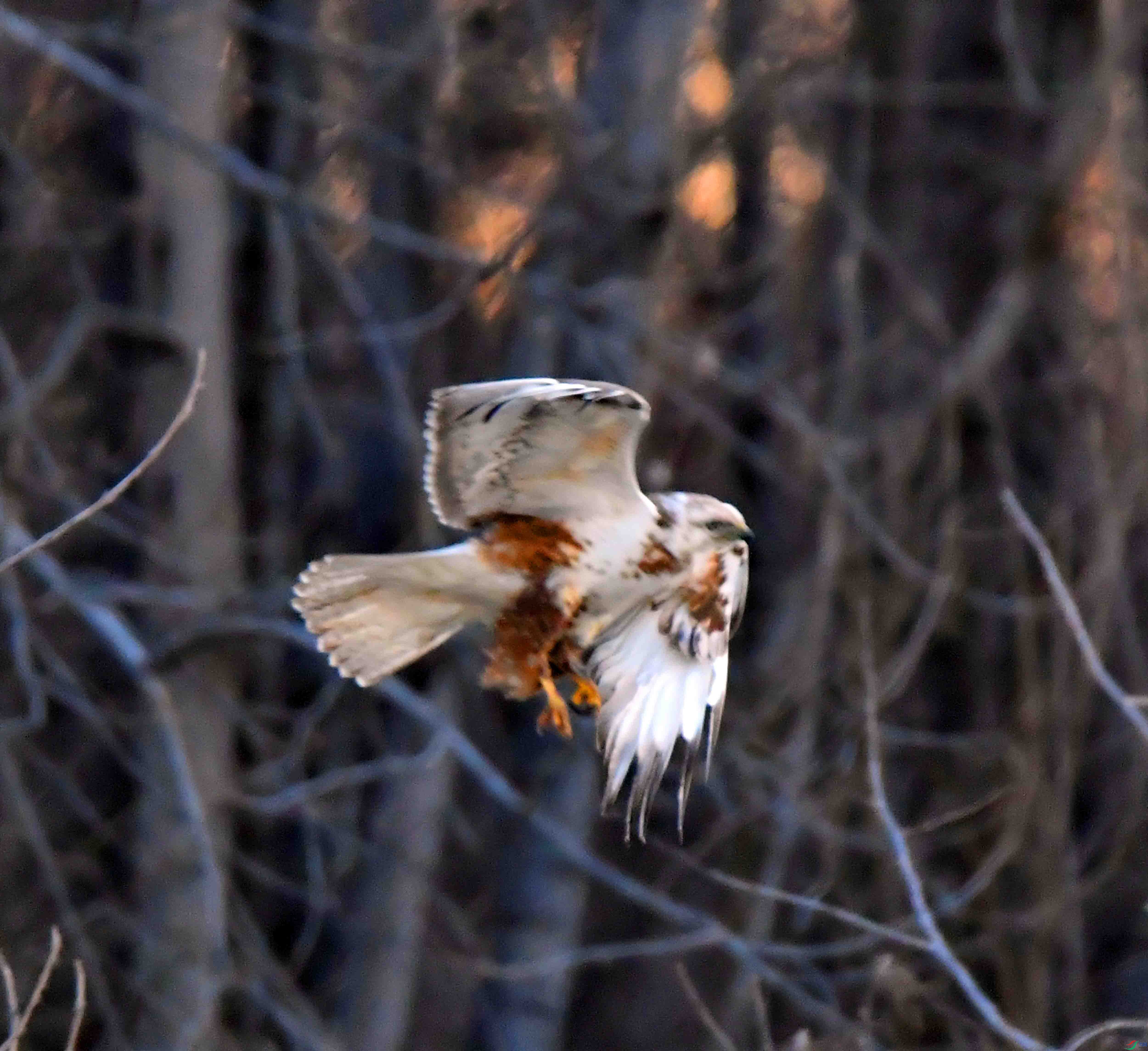DSC_6174.JPG