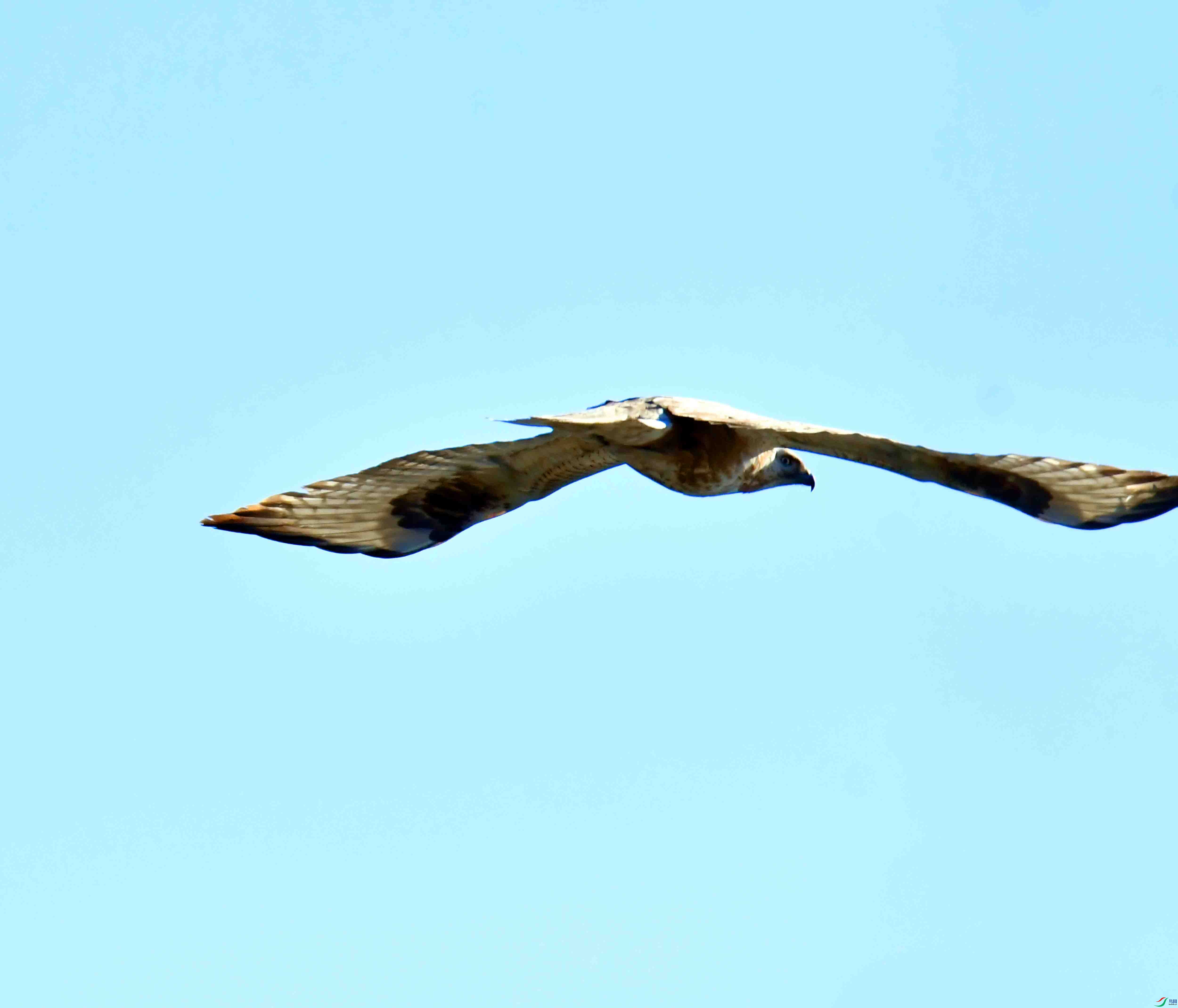 DSC_6383.JPG