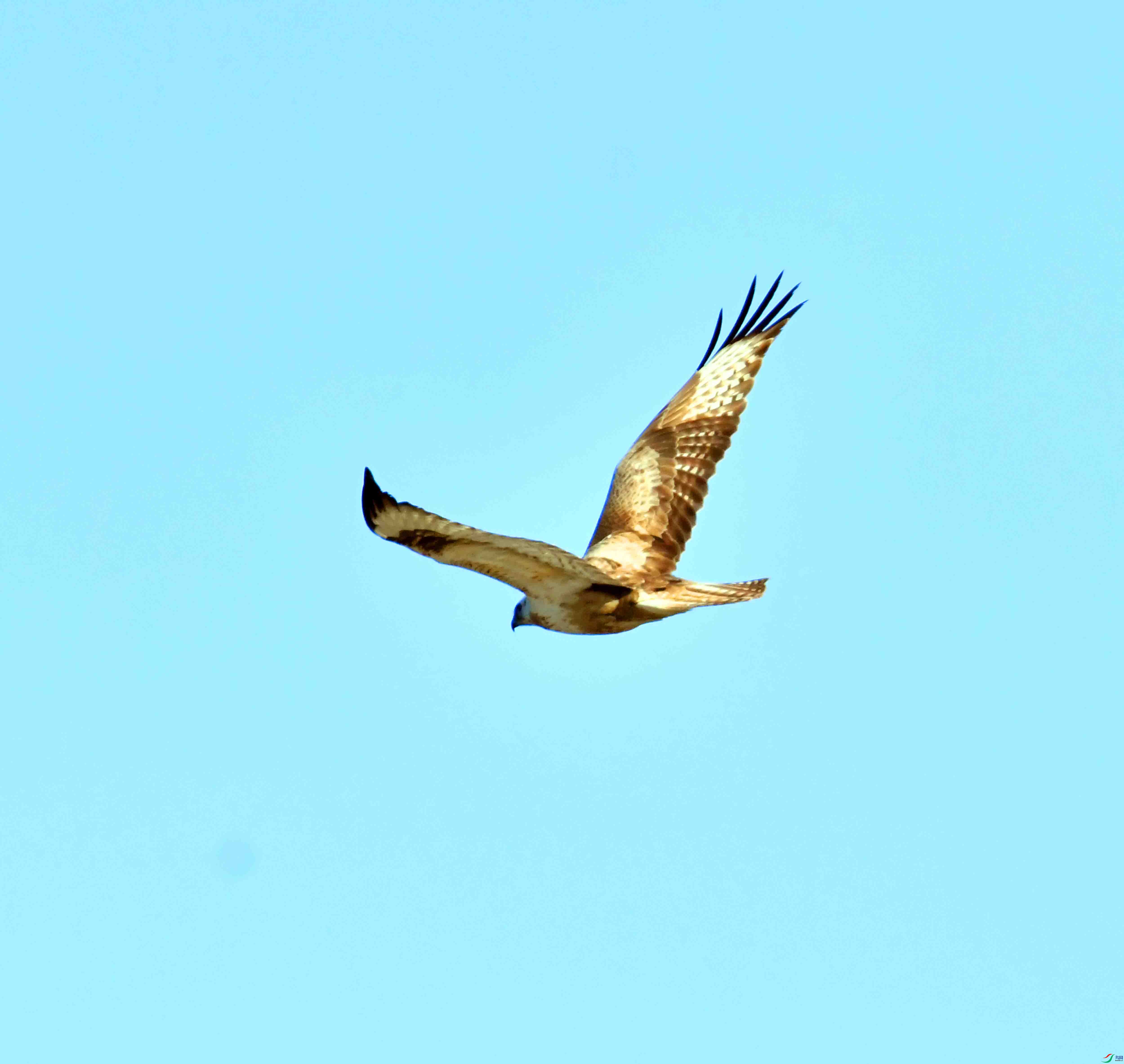 DSC_6443.JPG