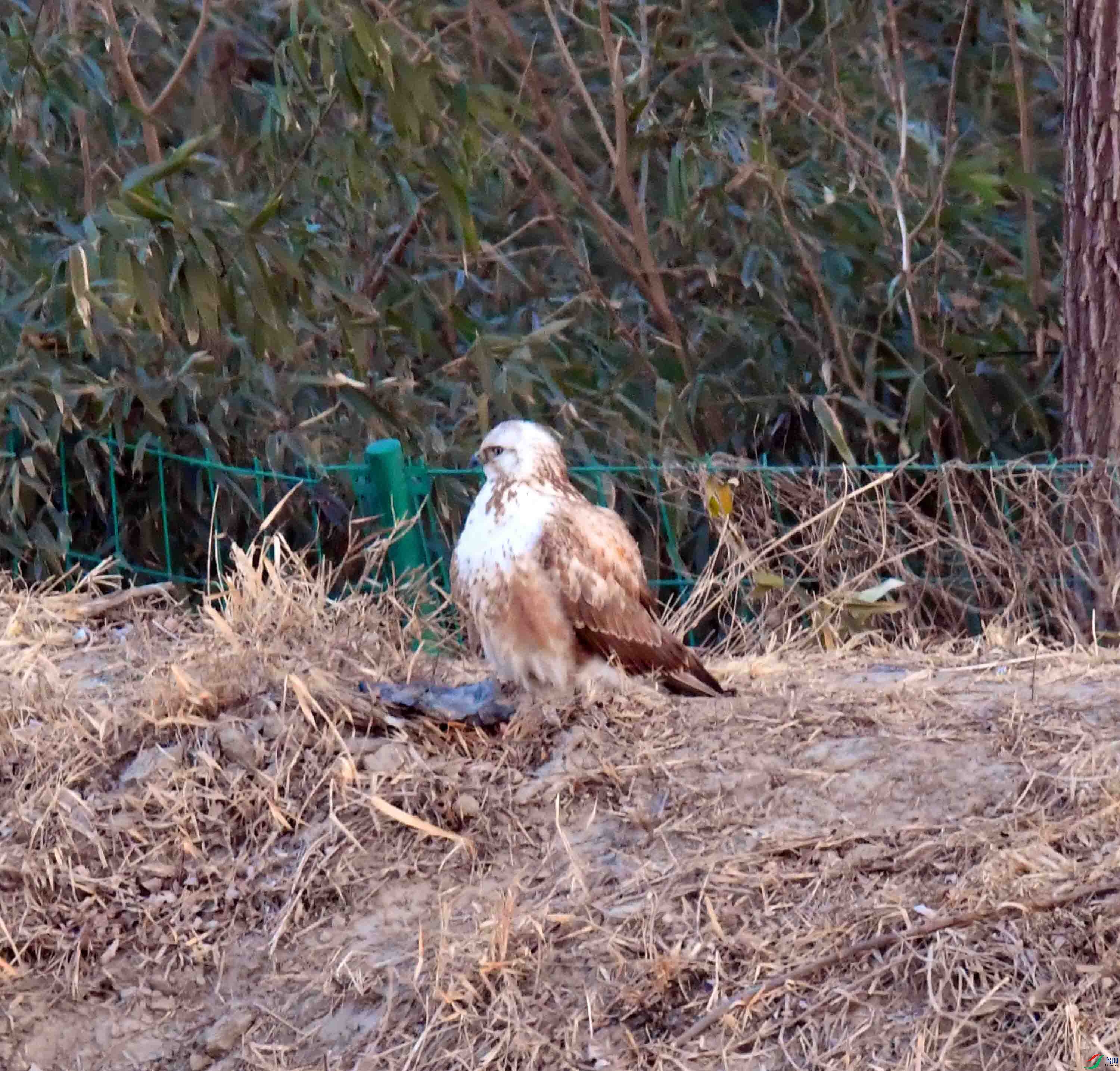DSC_6493.JPG