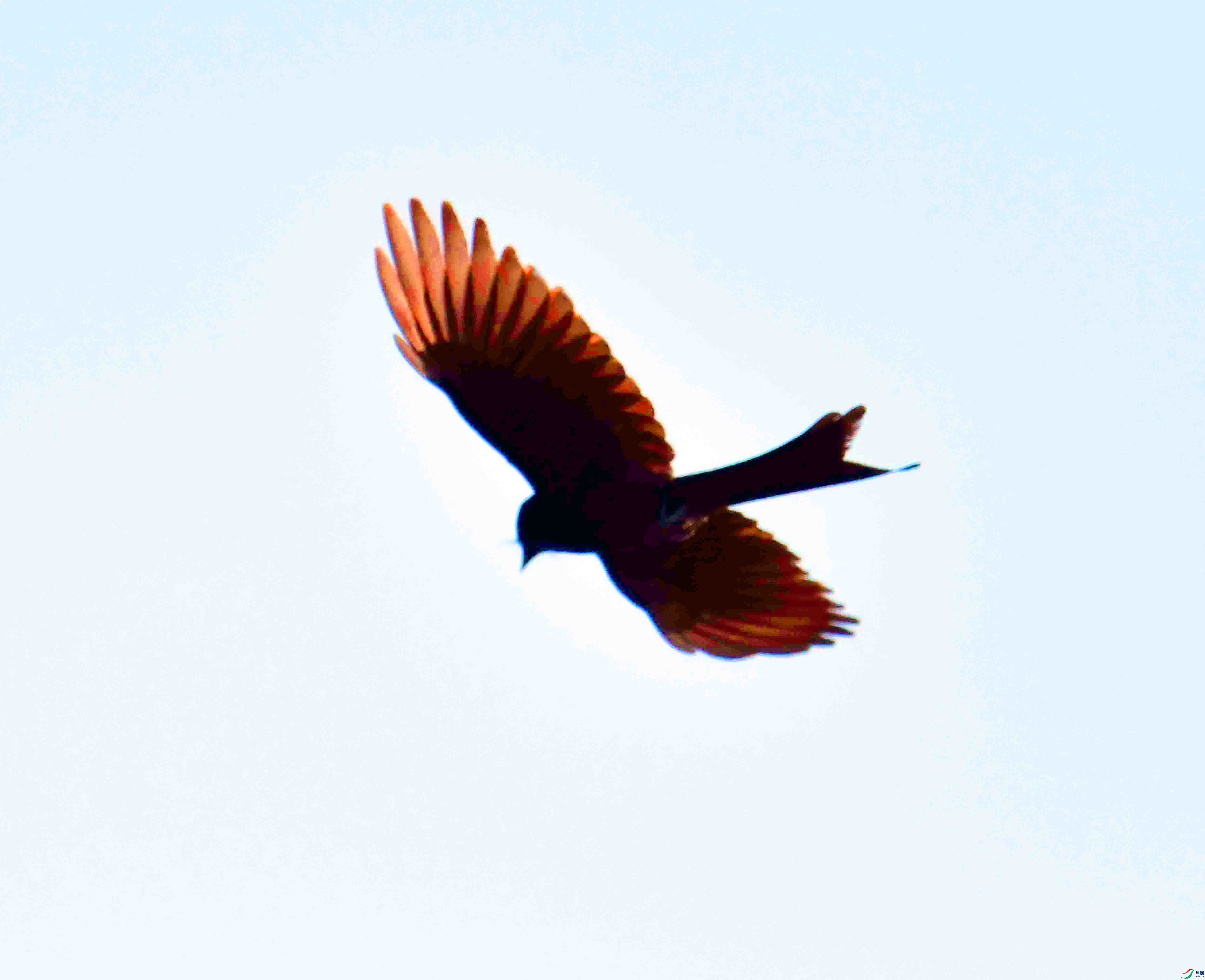 DSC_9317.JPG