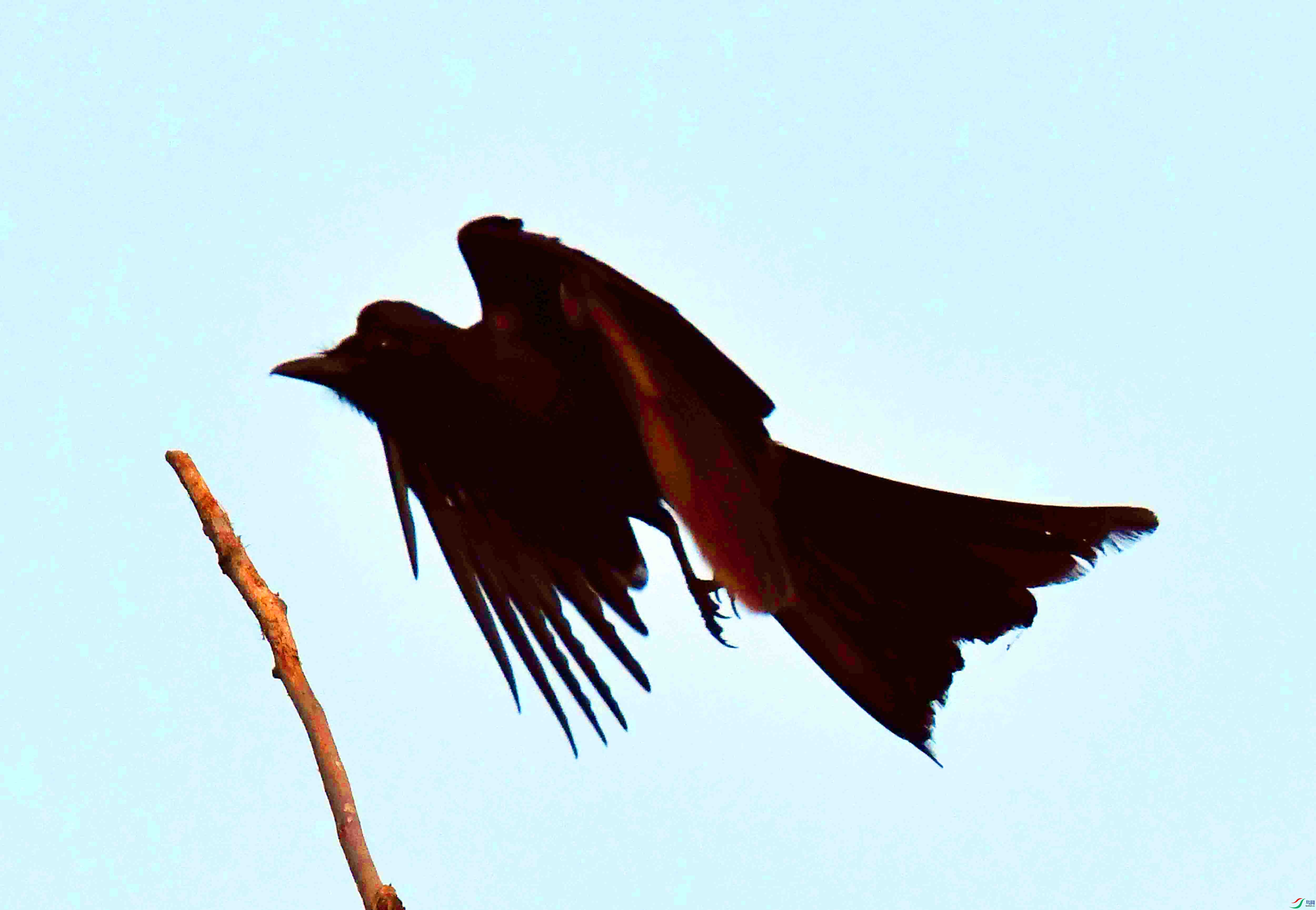 DSC_9357.JPG