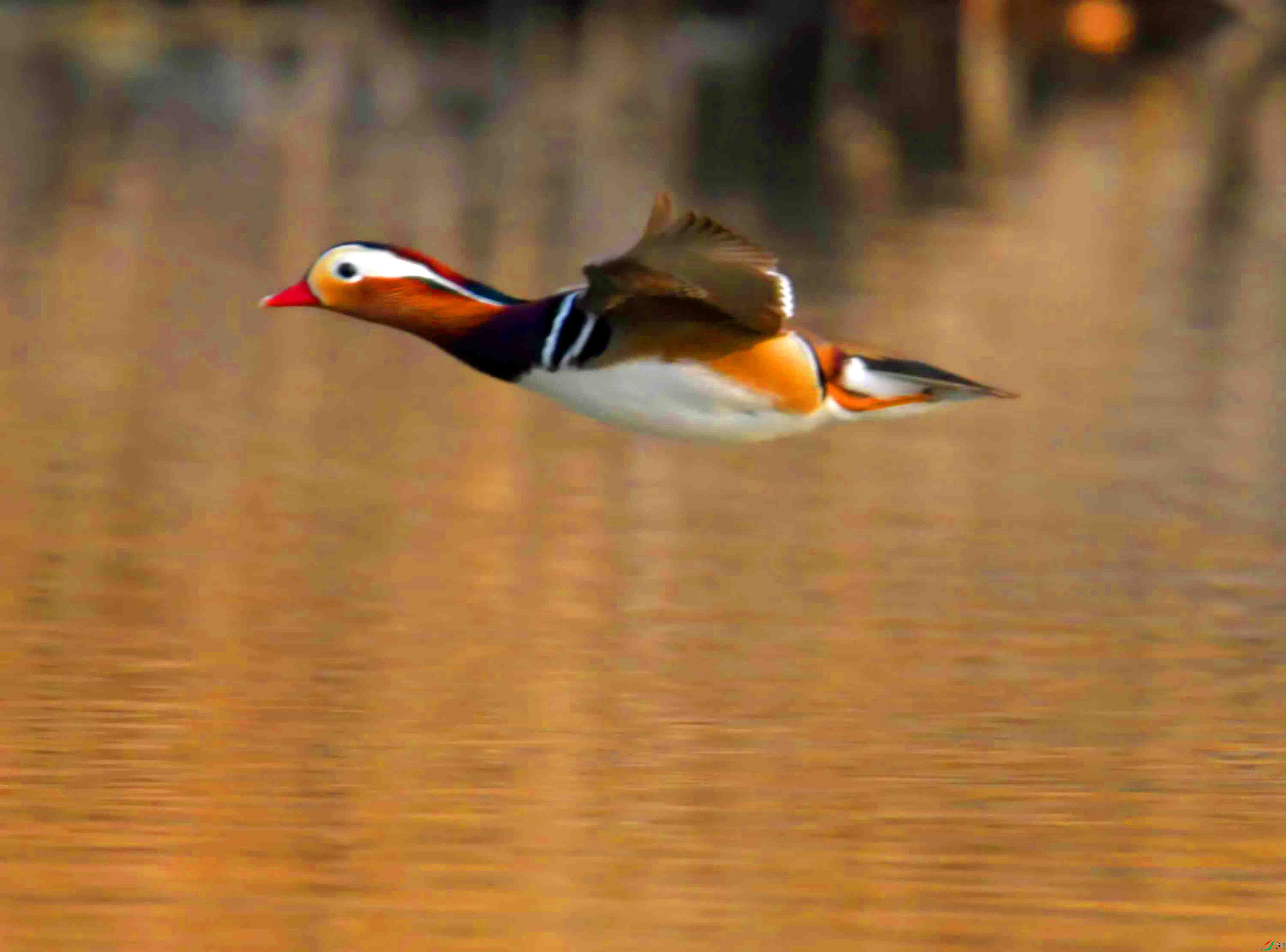 DSC_0318.JPG