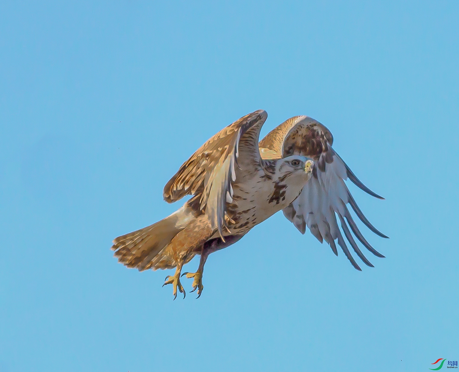 P1060648 --�ڷ�--22.jpg