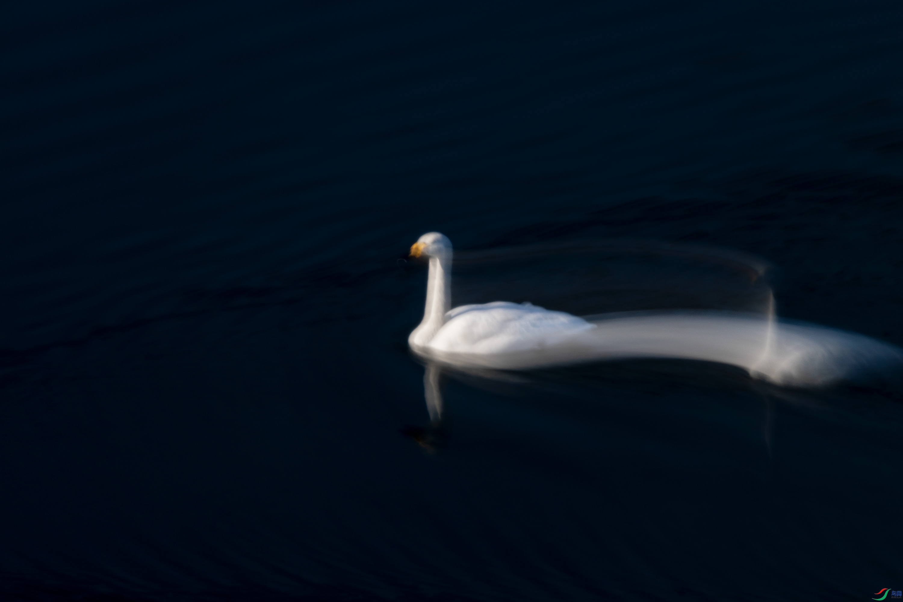 278A7964.jpg