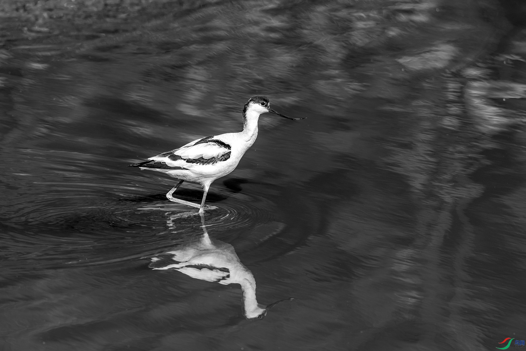 BF1I0158 ����_����.jpg