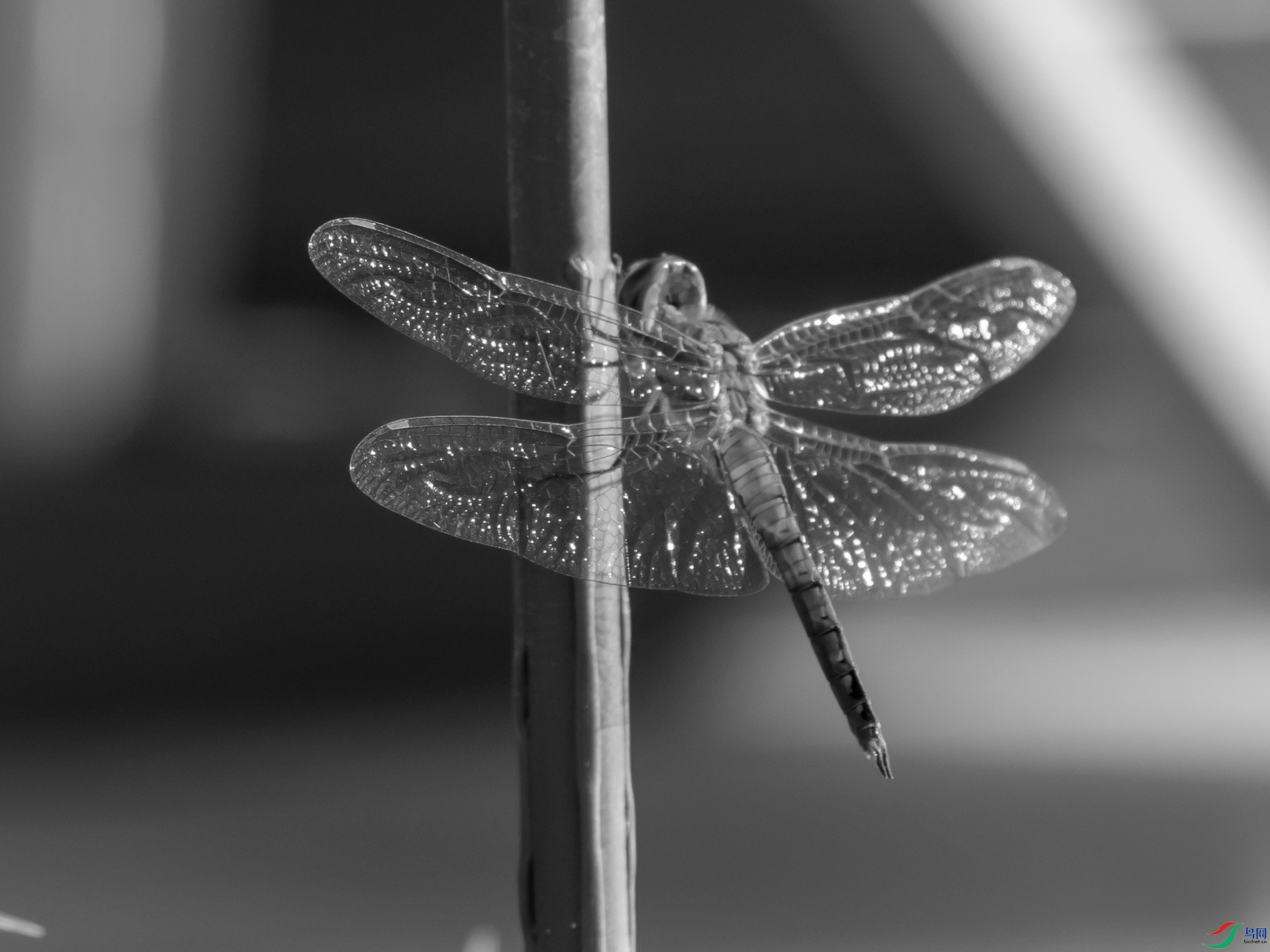 P9261140.jpg