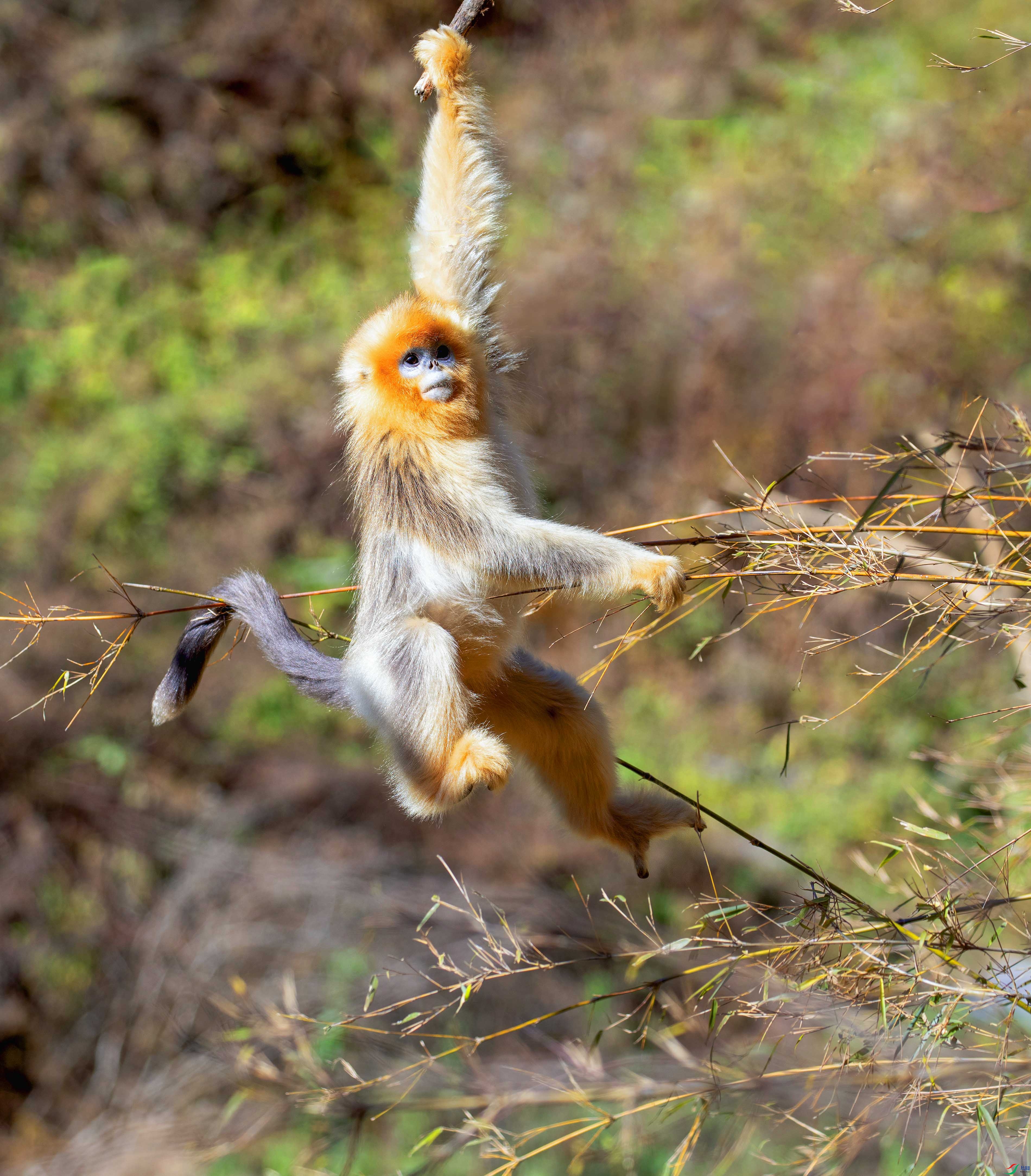 314A0230 ���� 2.jpg