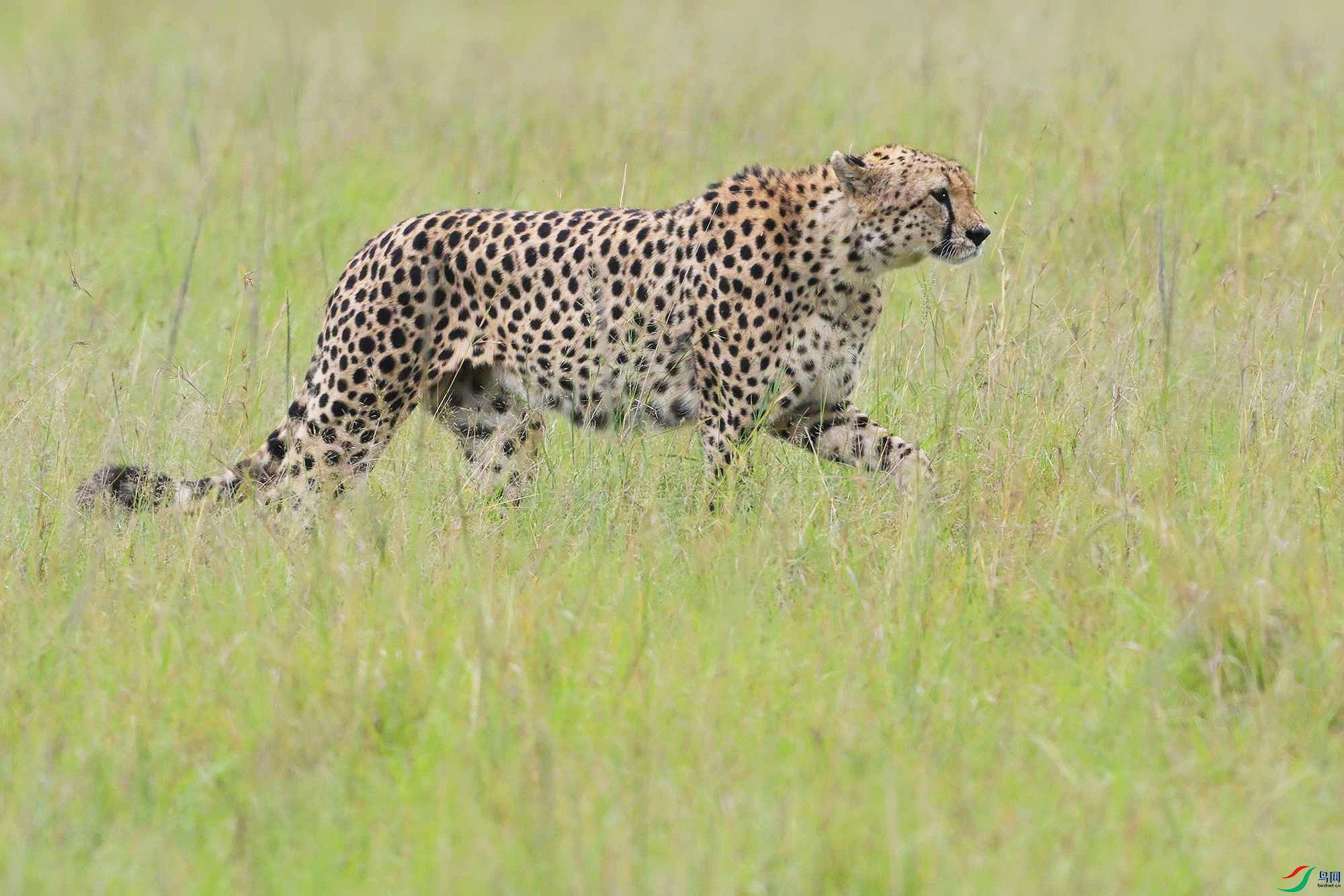 DSC_5163_.jpg