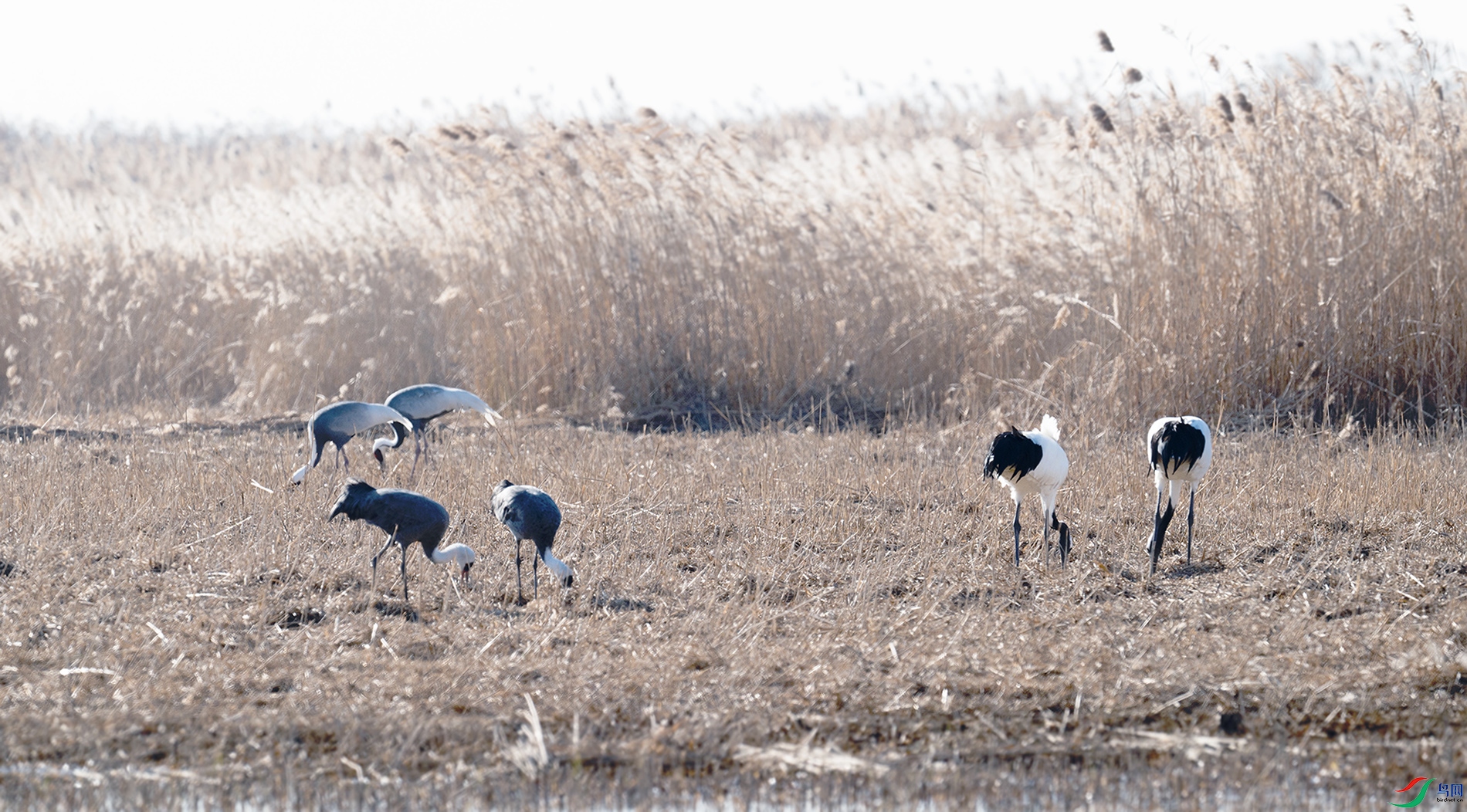 DSC_6807_.jpg