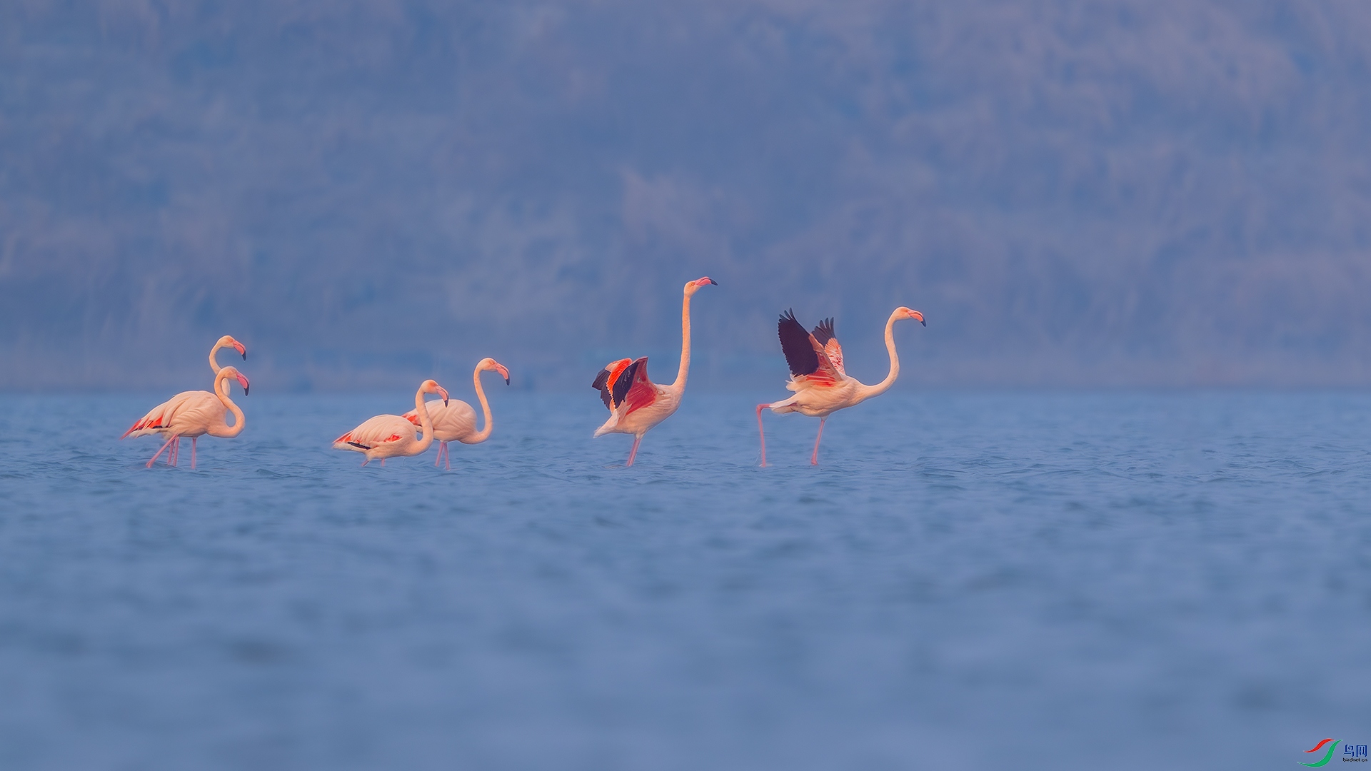 _DSC1137-����ǿ-NR ����С.jpg