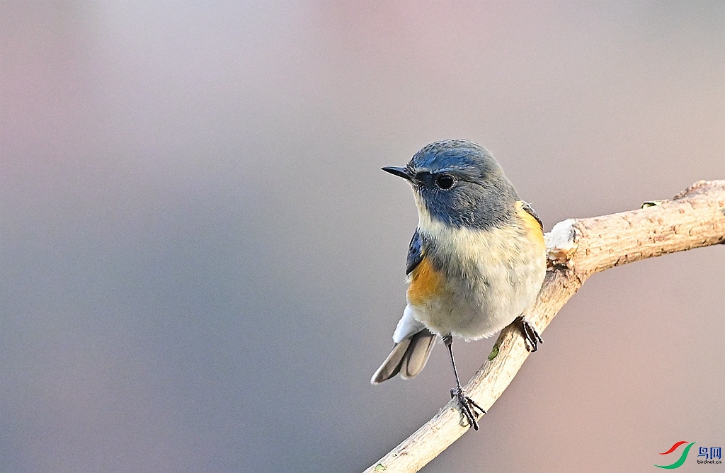 DSC_6143.JPG