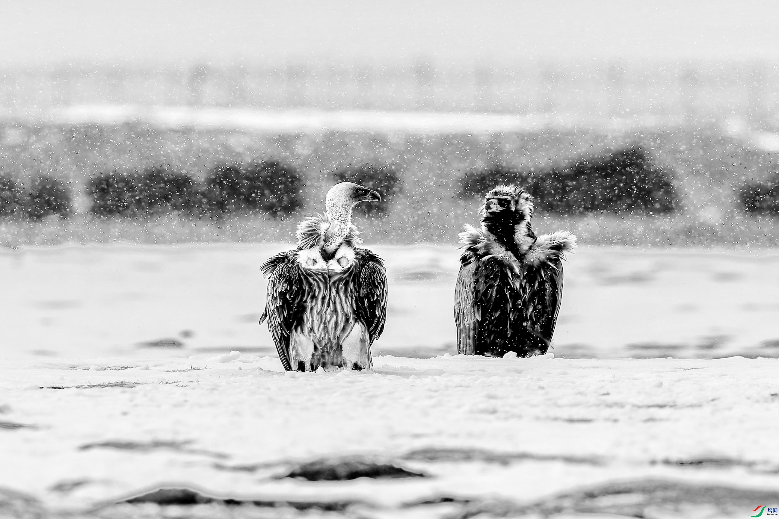 ͺ��2 (7)-01-01.jpg