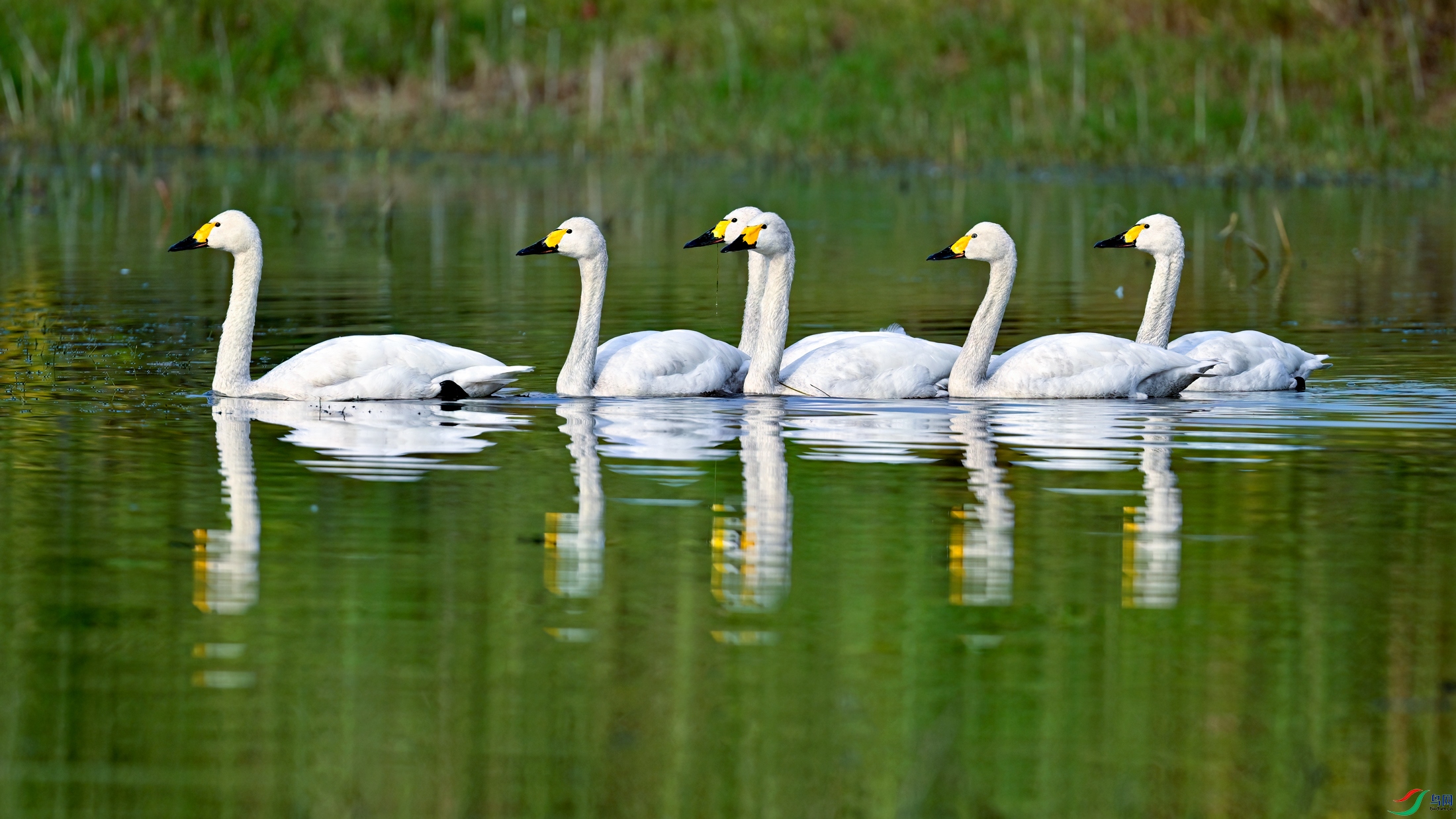 _DSC7868x.jpg