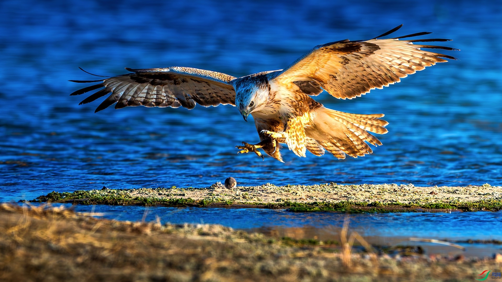 1--_XXL6387-����ǿ-NR-1 2.jpeg