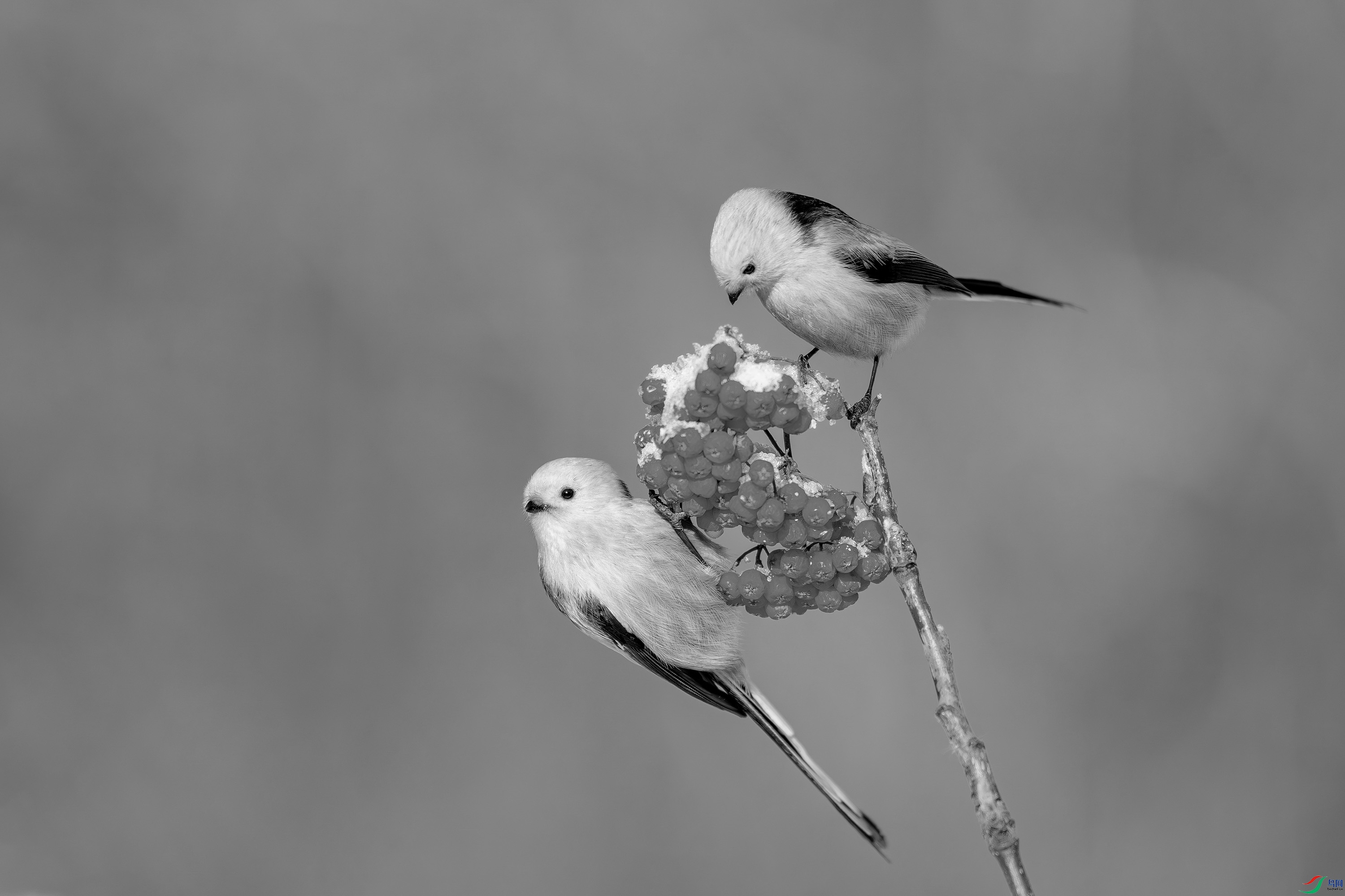 DSC05107h.jpg