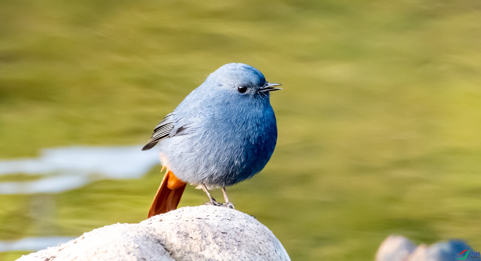 DSC_2302_1.jpg