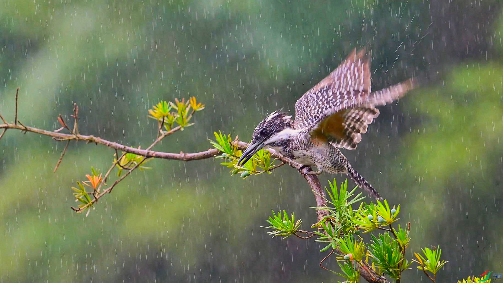 1��18�� (1)-����.jpg