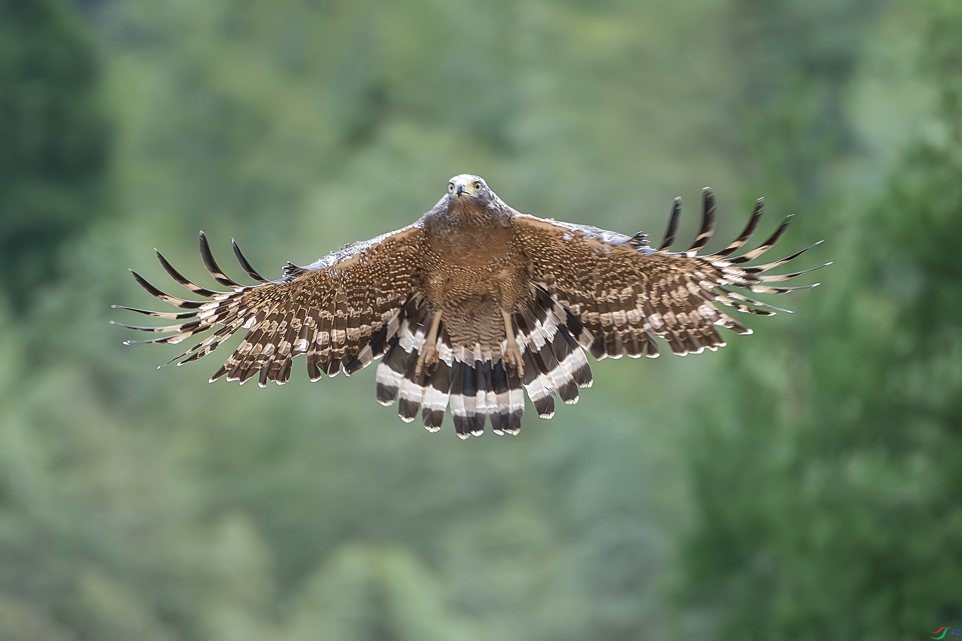 _DSC9727-����ǿ-NR ���� 2.jpg