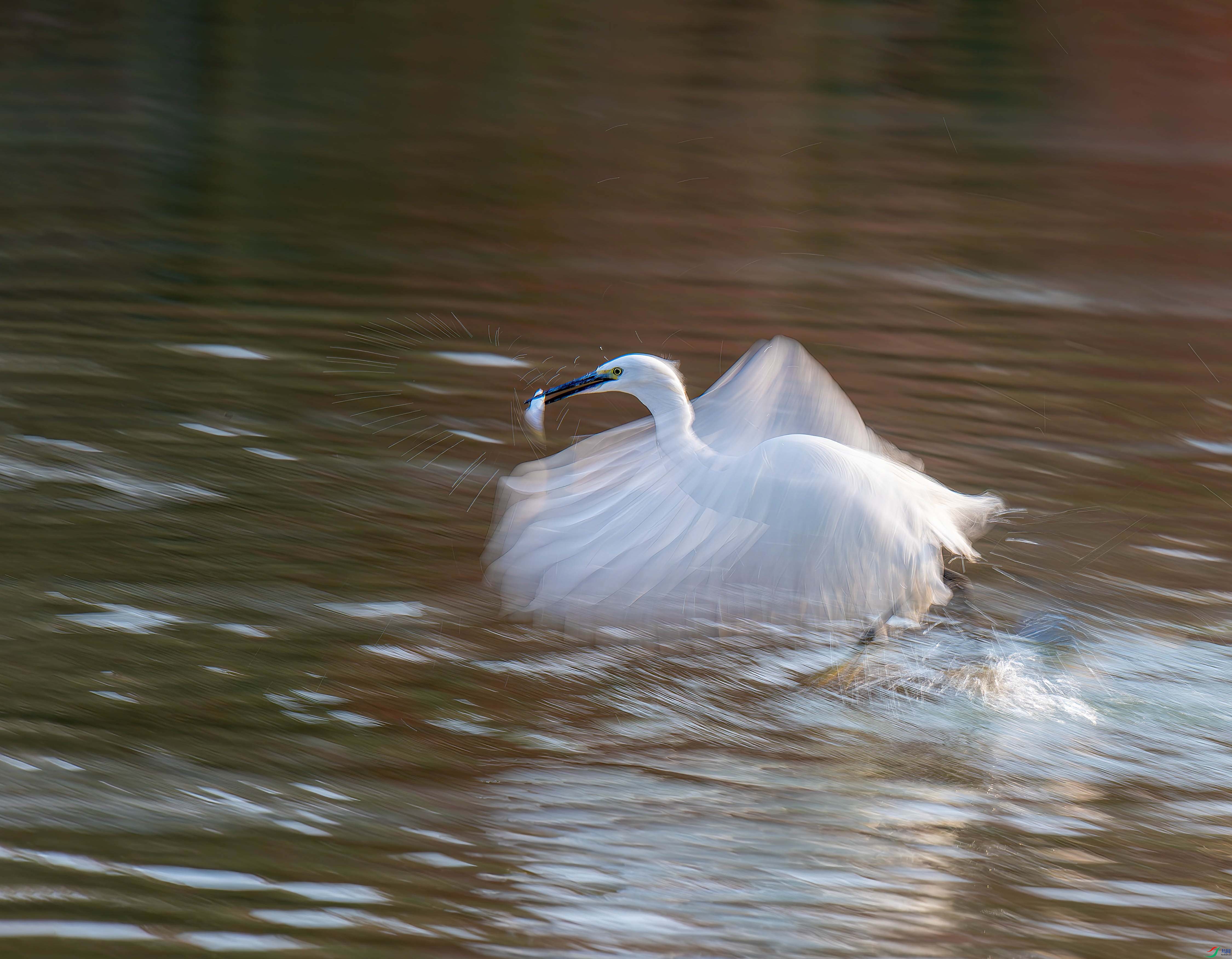 DSC_0066-.jpg