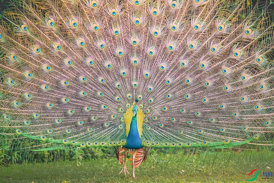 ����ȸ----��������