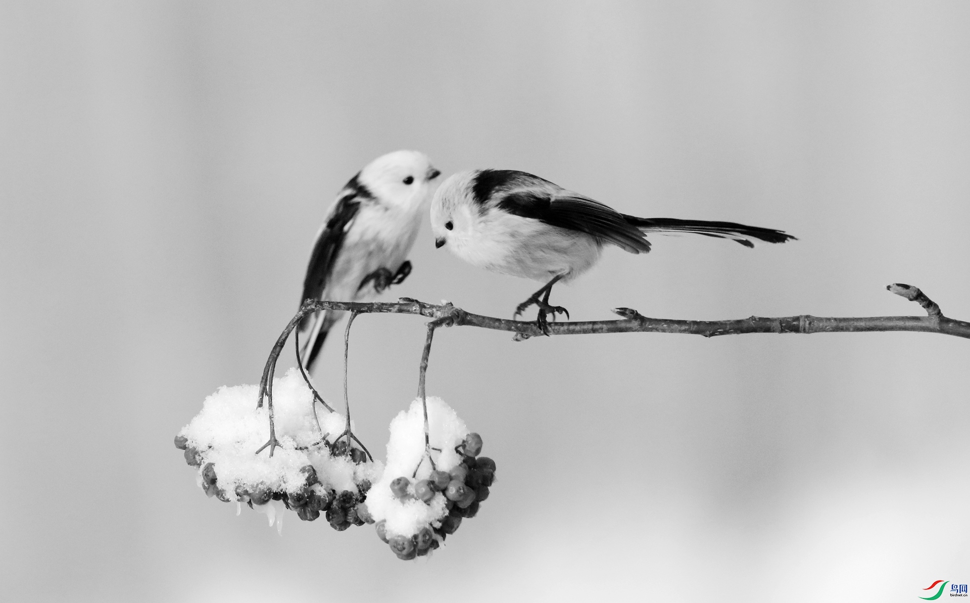 0G1A6776.JPG
