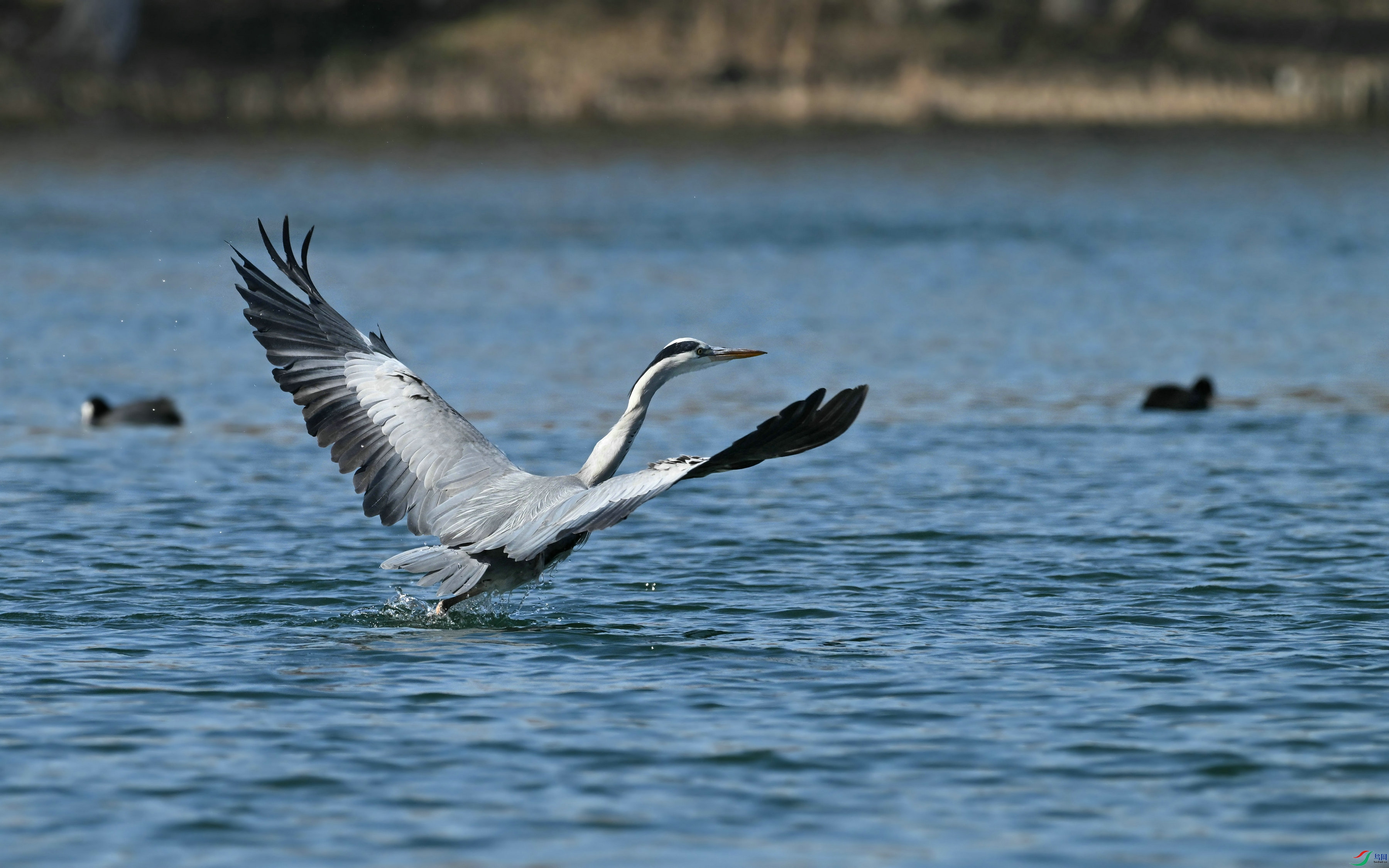 DSC_6790.JPG