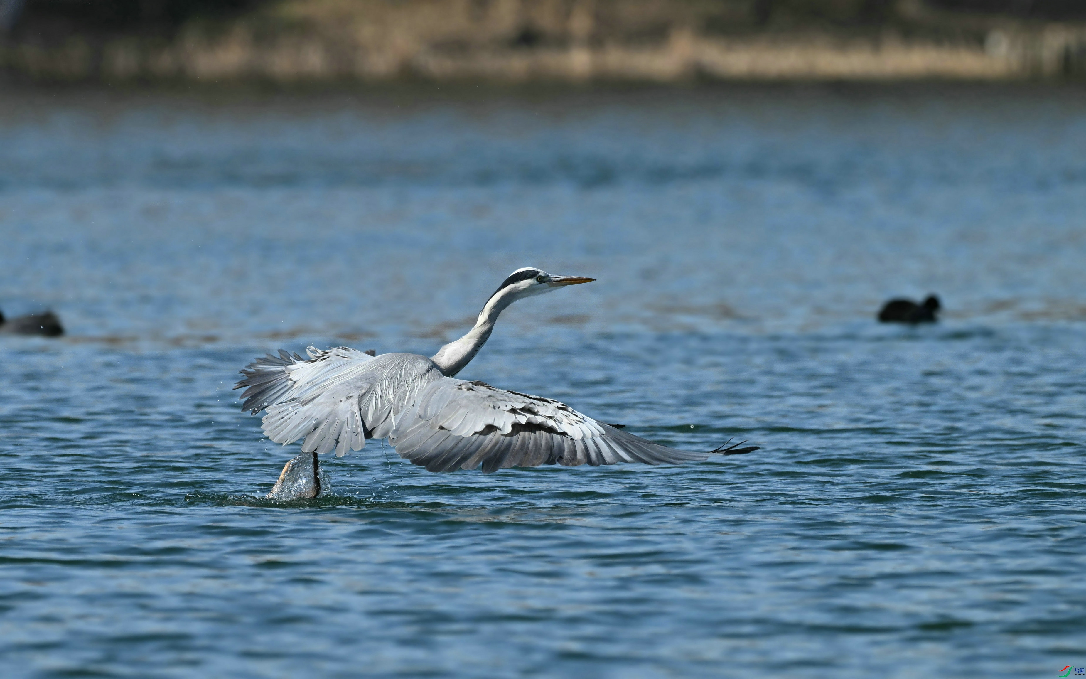 DSC_6792.JPG