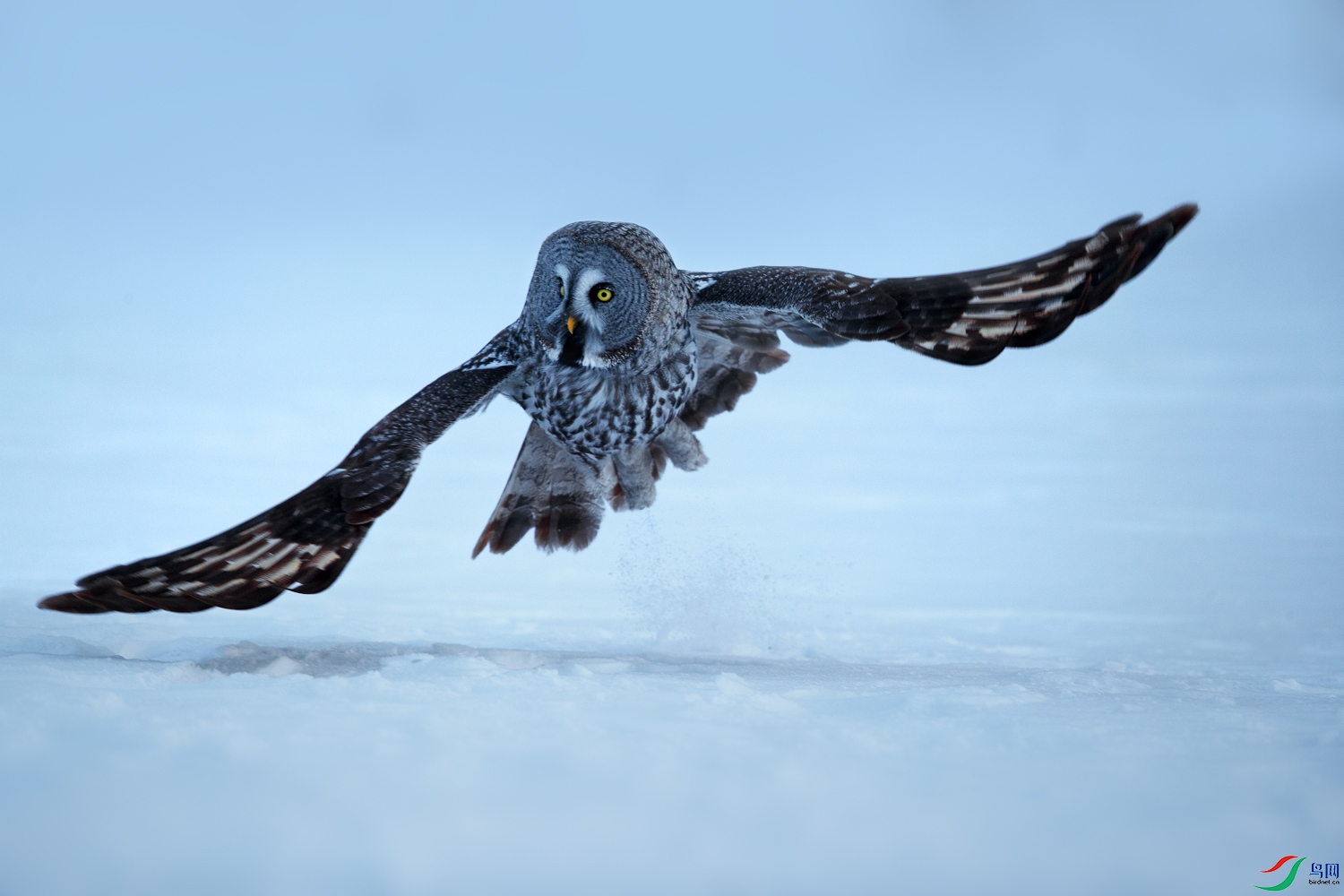 AQ9I7473 ����.jpg