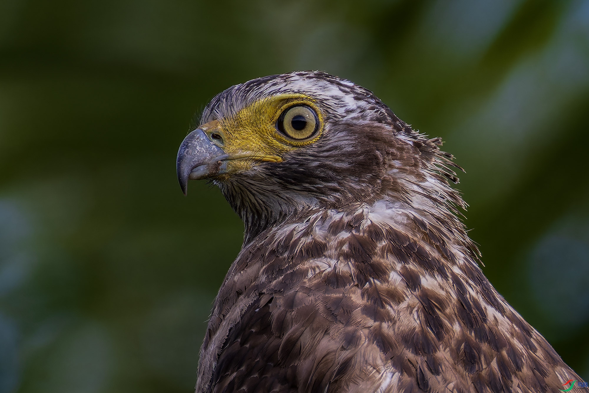 _97A4713-CR3 copy 2.jpg