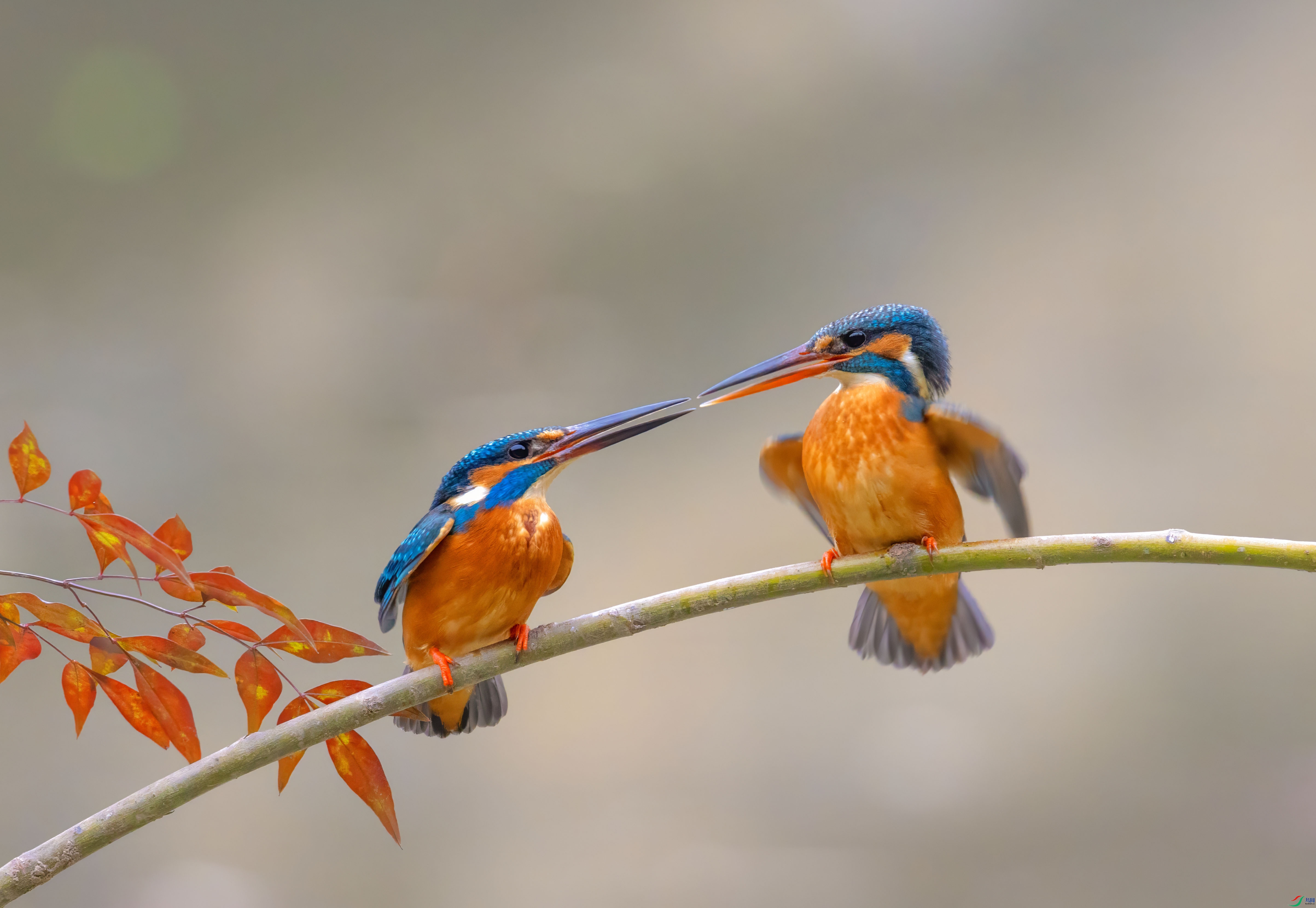 C87A0570 ����.jpg