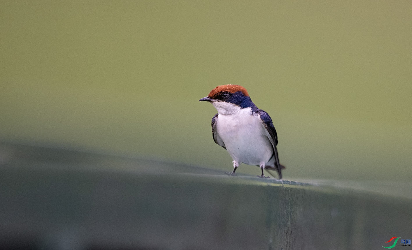 _DSC9411 ����.jpg