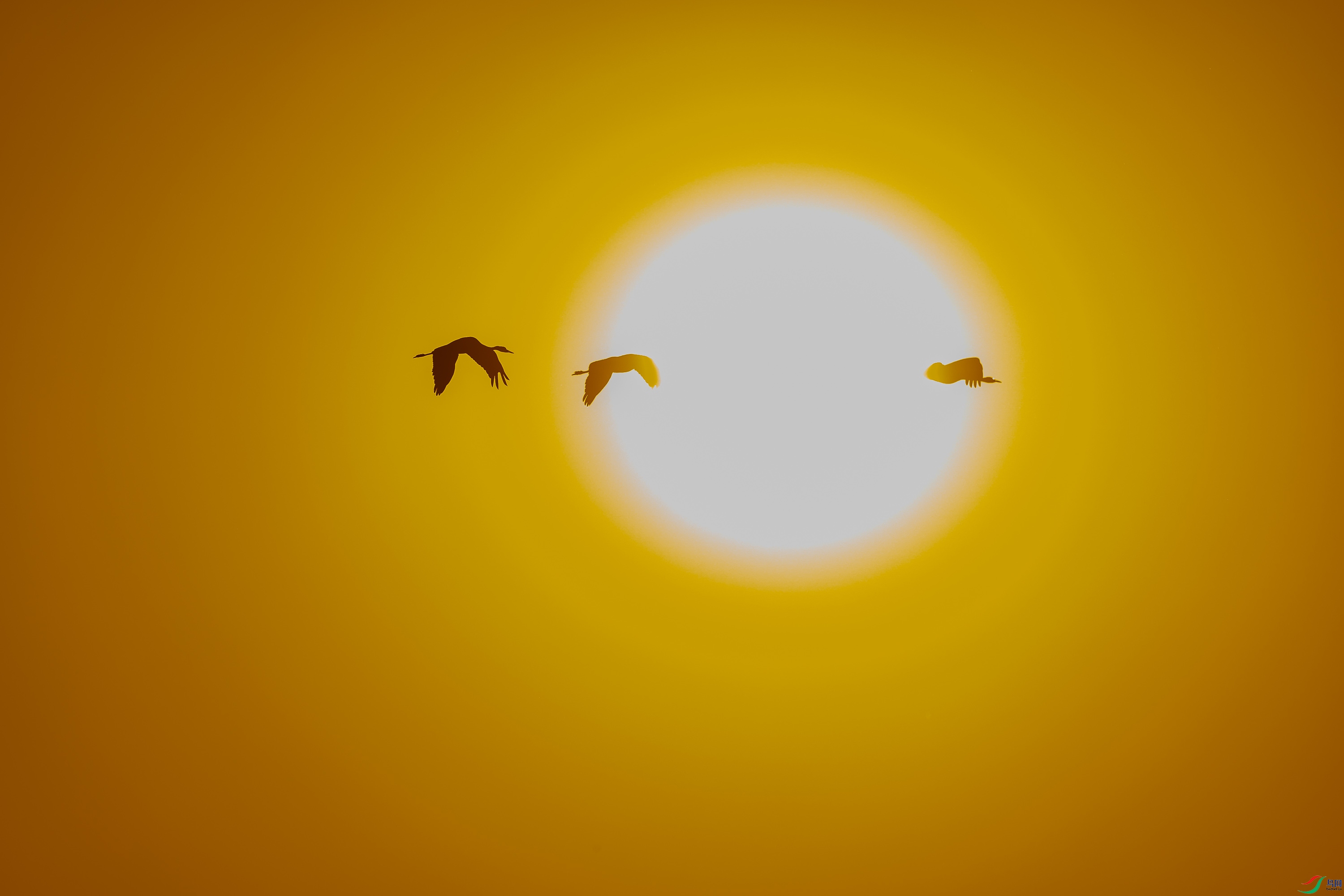 007A2229.JPG